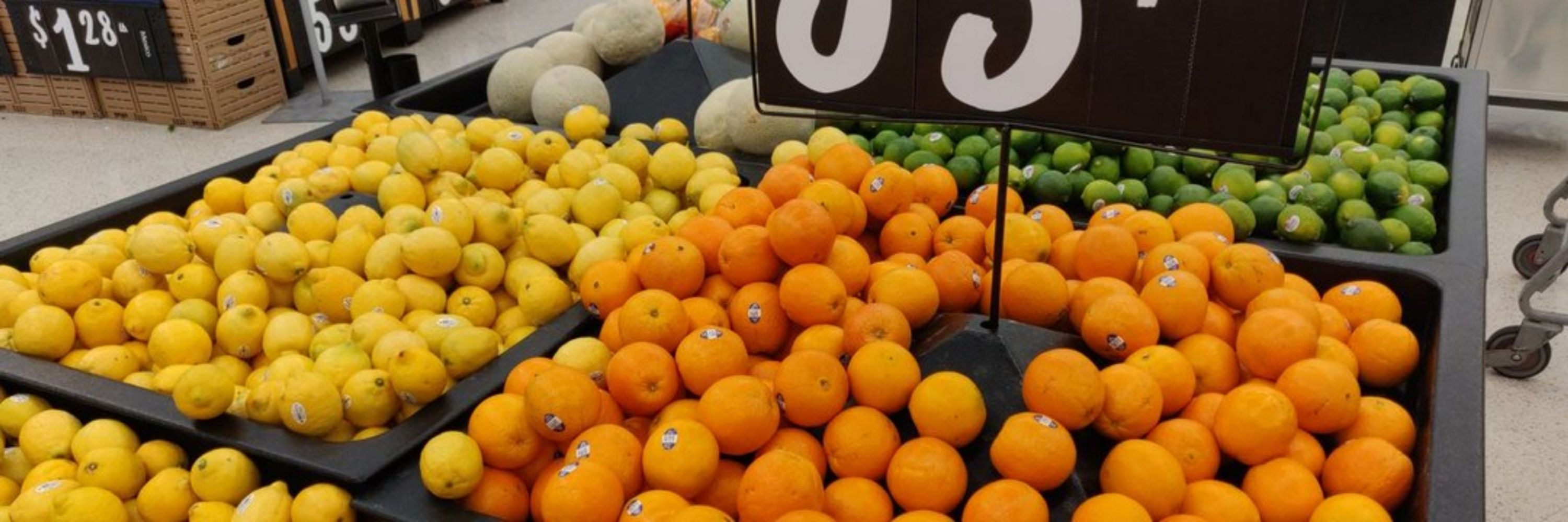 立党🍊
