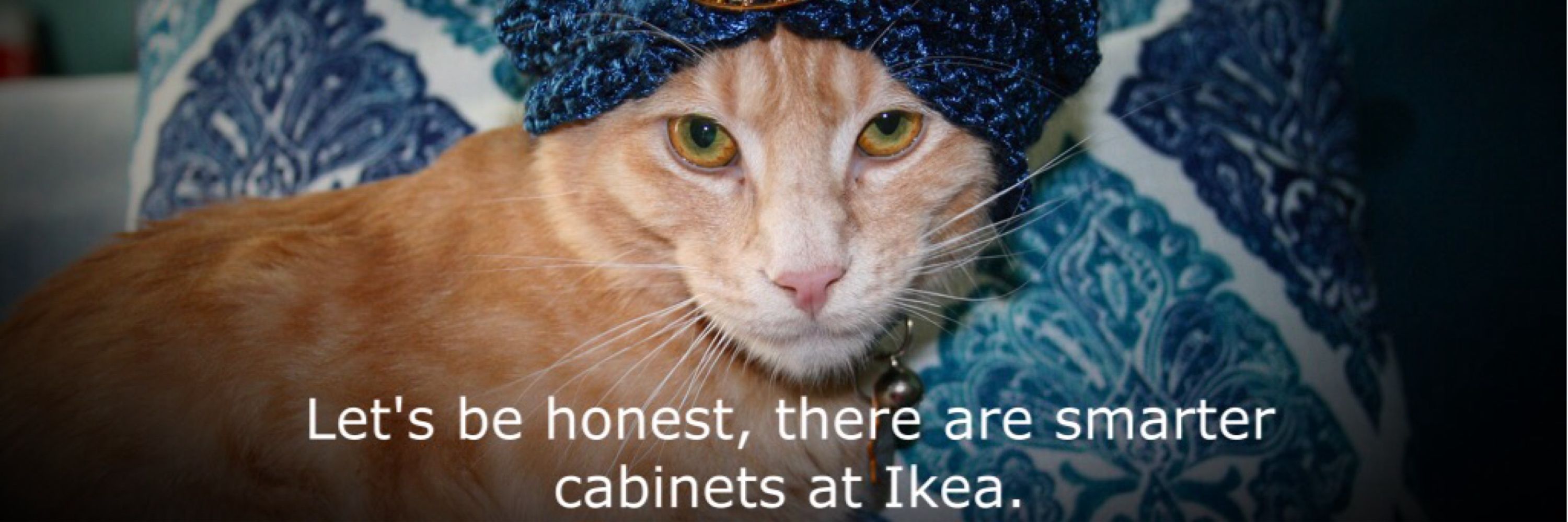 Wise PaxCat