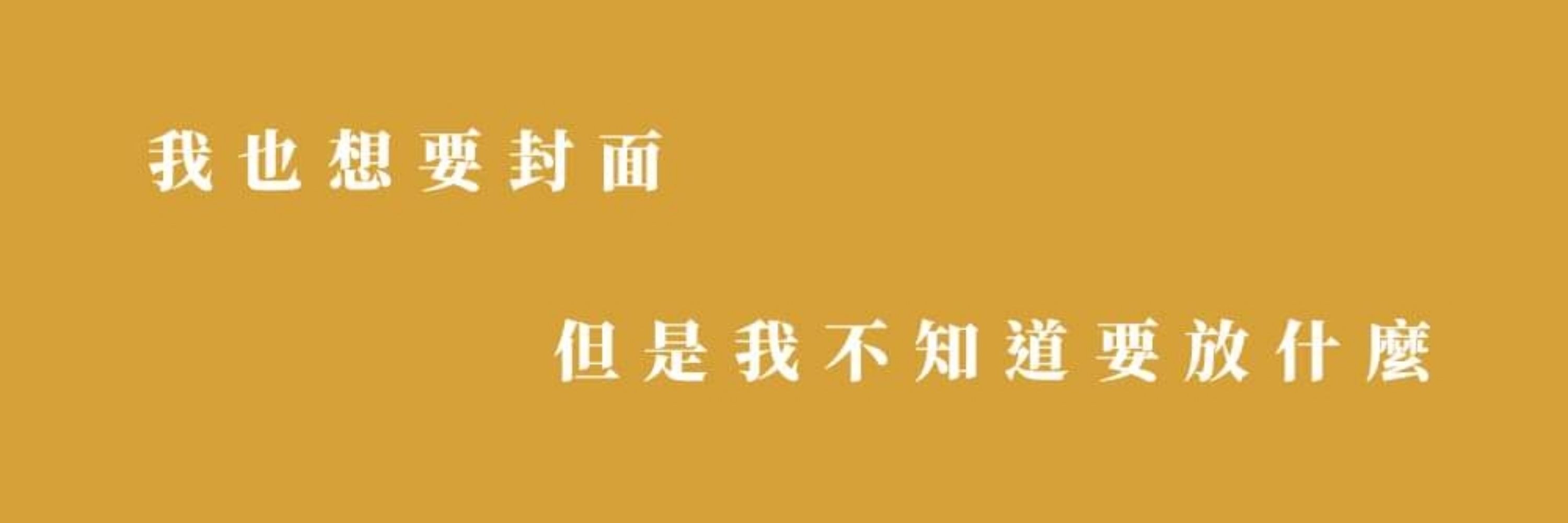 很真的假帳