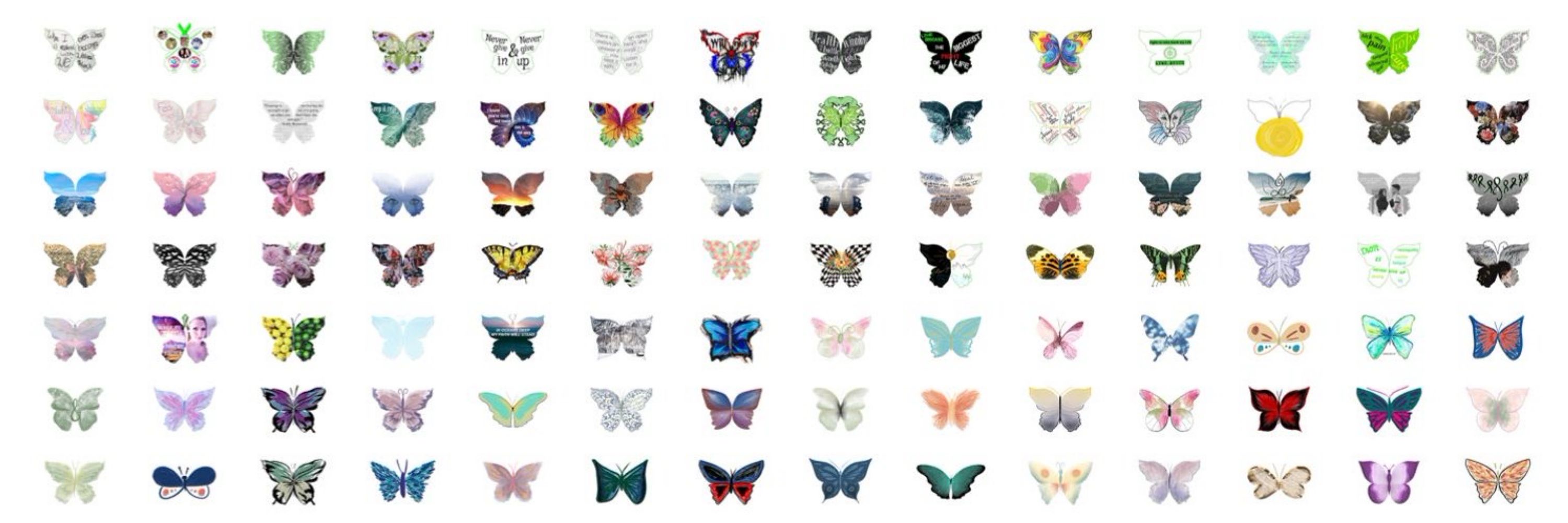 Life in Lyme Light -Butterflies