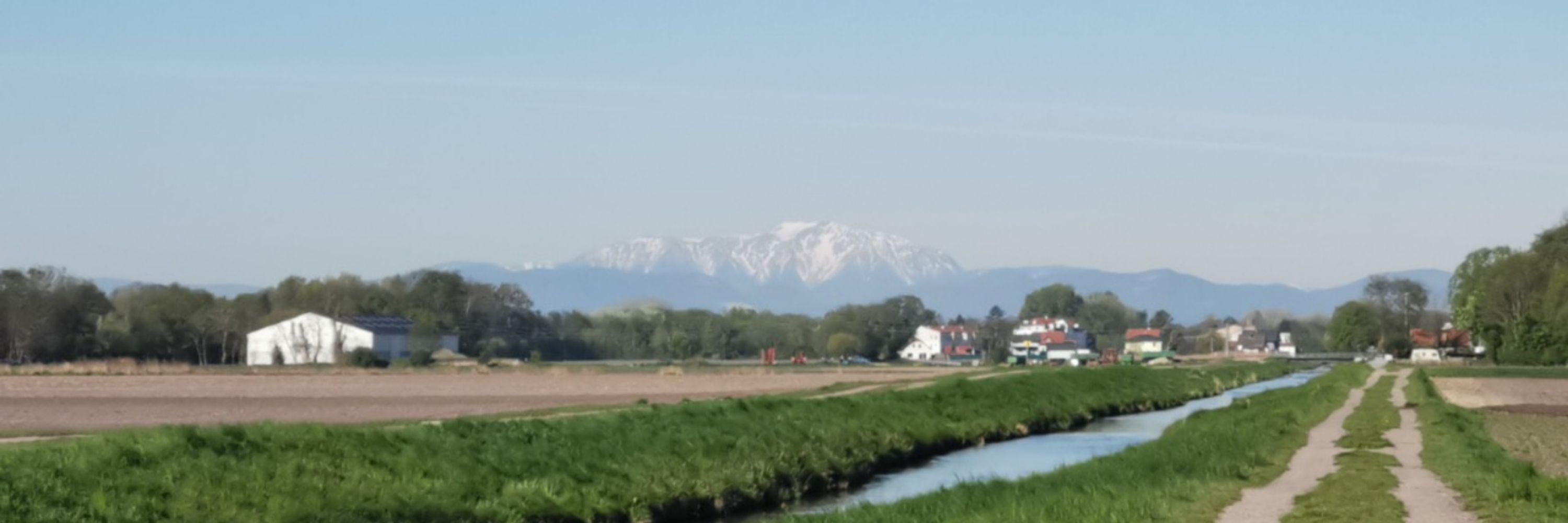 Grubsi
