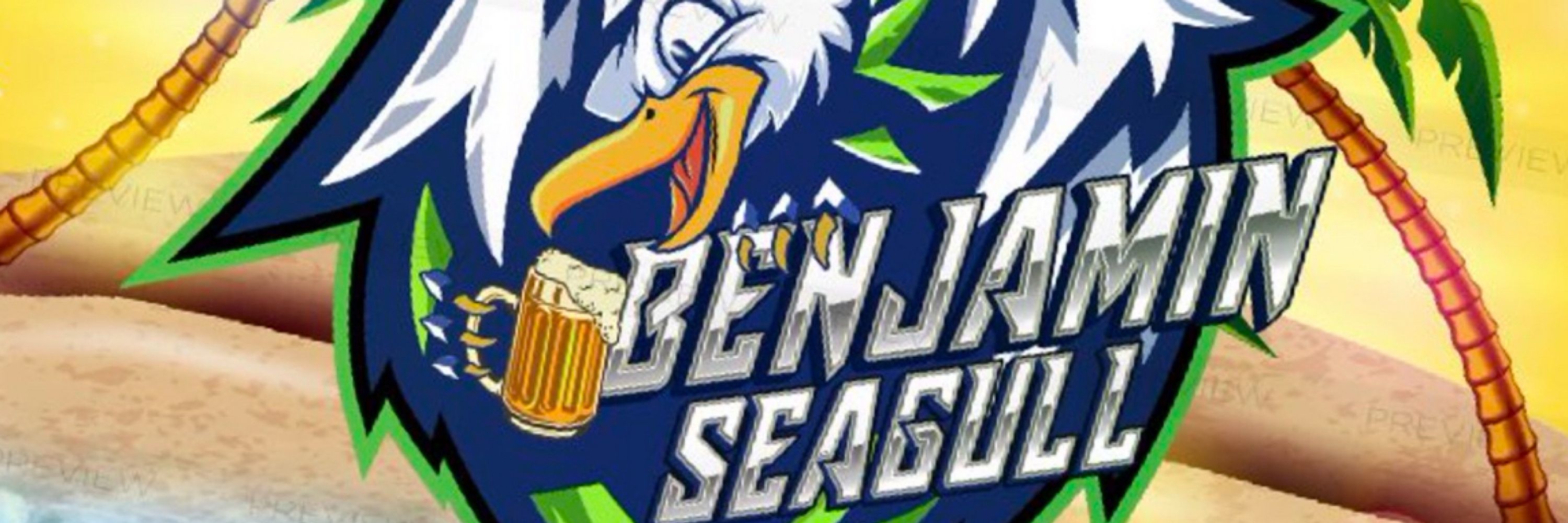 BenjaminSeagull 💚