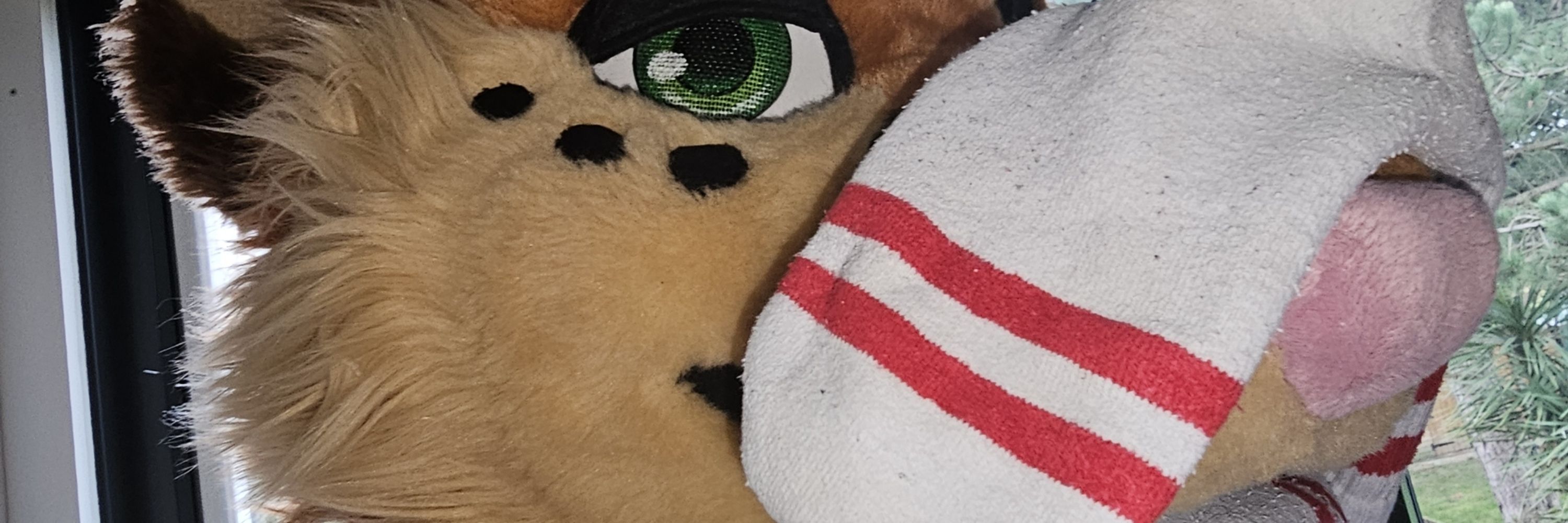 Fursona Non Grata ΘΔ