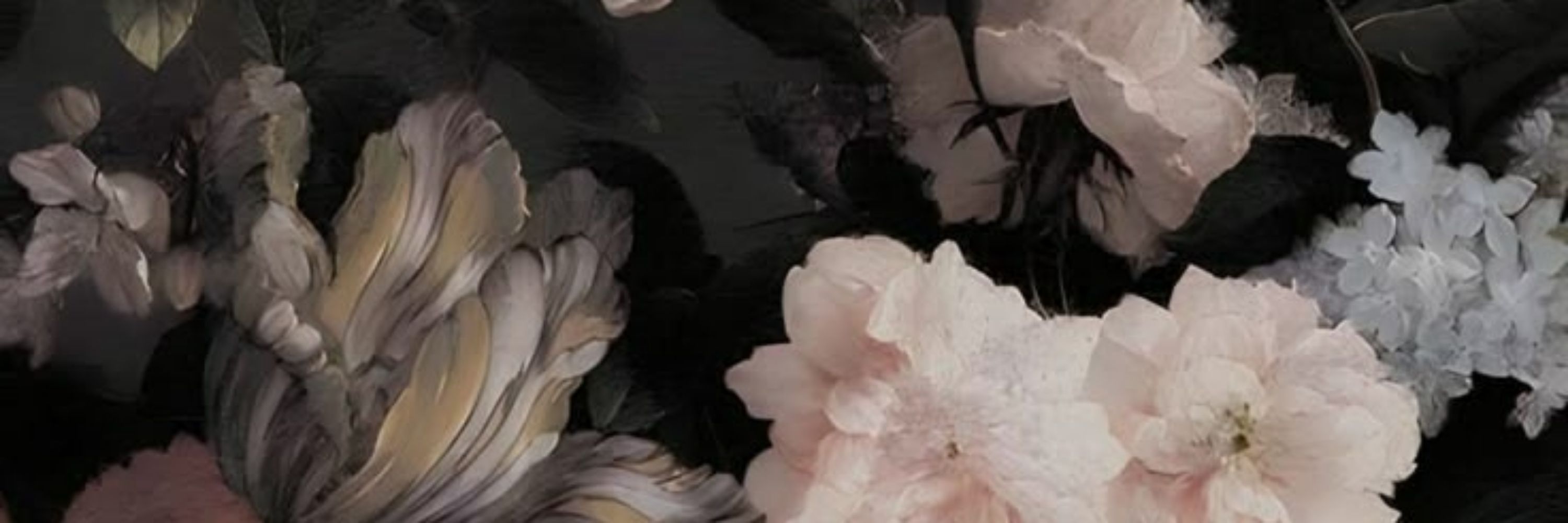  𝒦.ㅤㅤ𝐋ancellotti ㅤㅤ