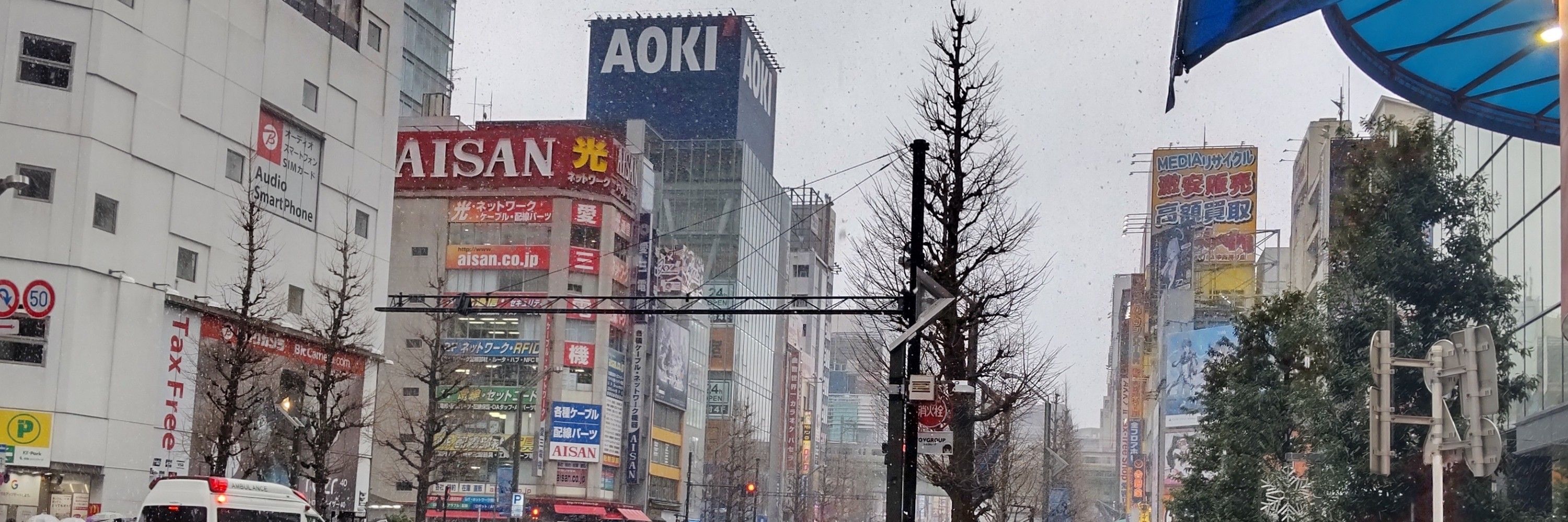 白畑