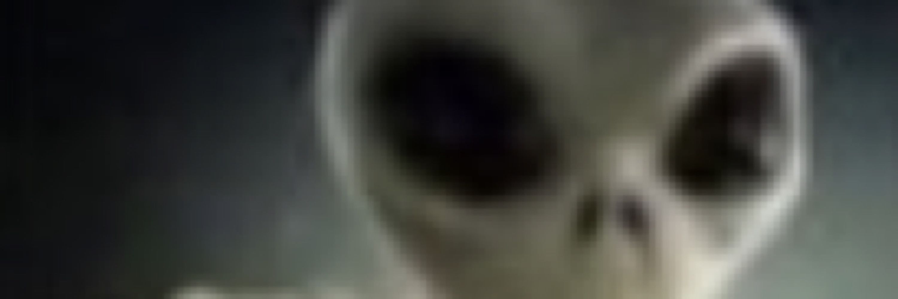 fiddlesticks