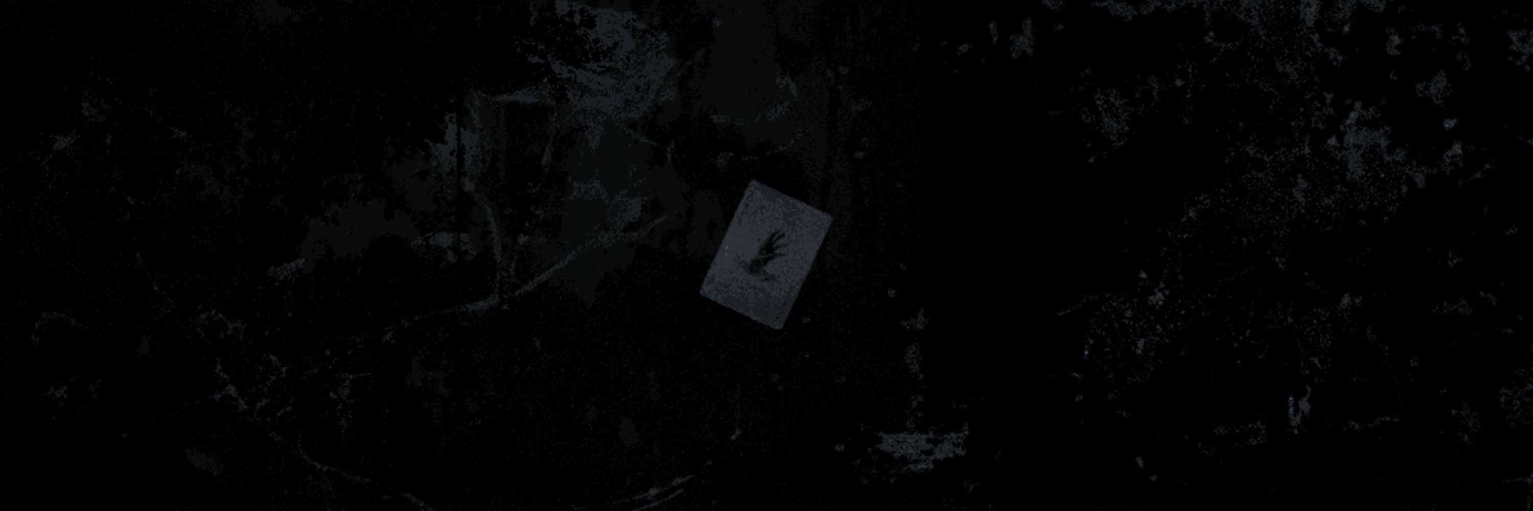 ᅠᅠᅠᅠᅠ      𝔀𝐢͇𝐥͇𝐝͇𝐞͇