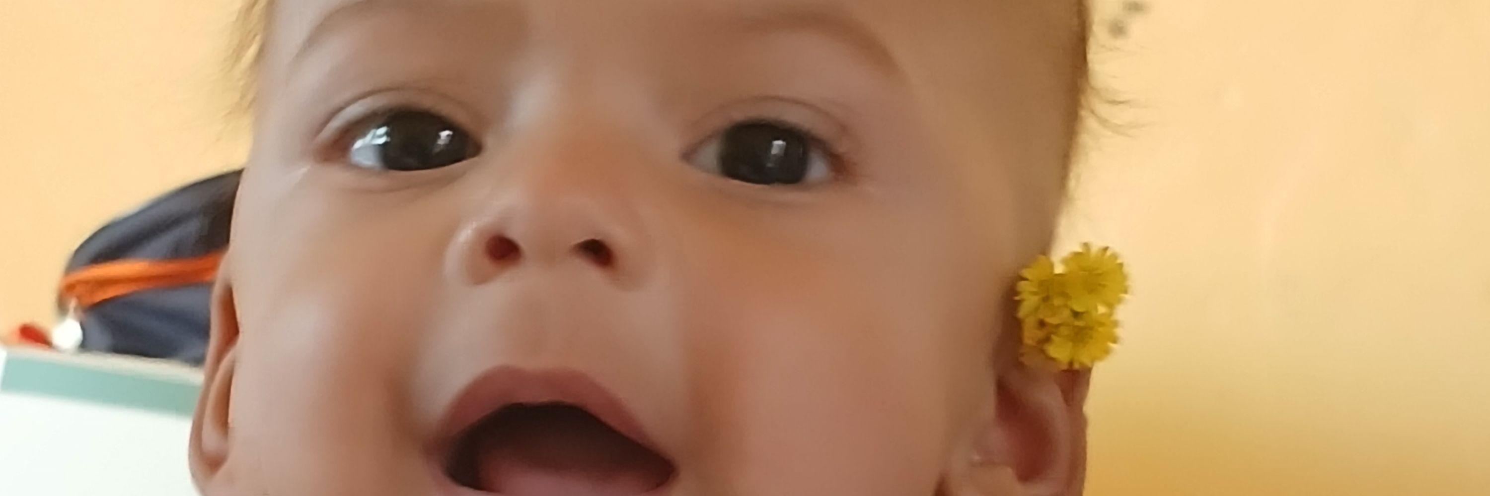 rafa