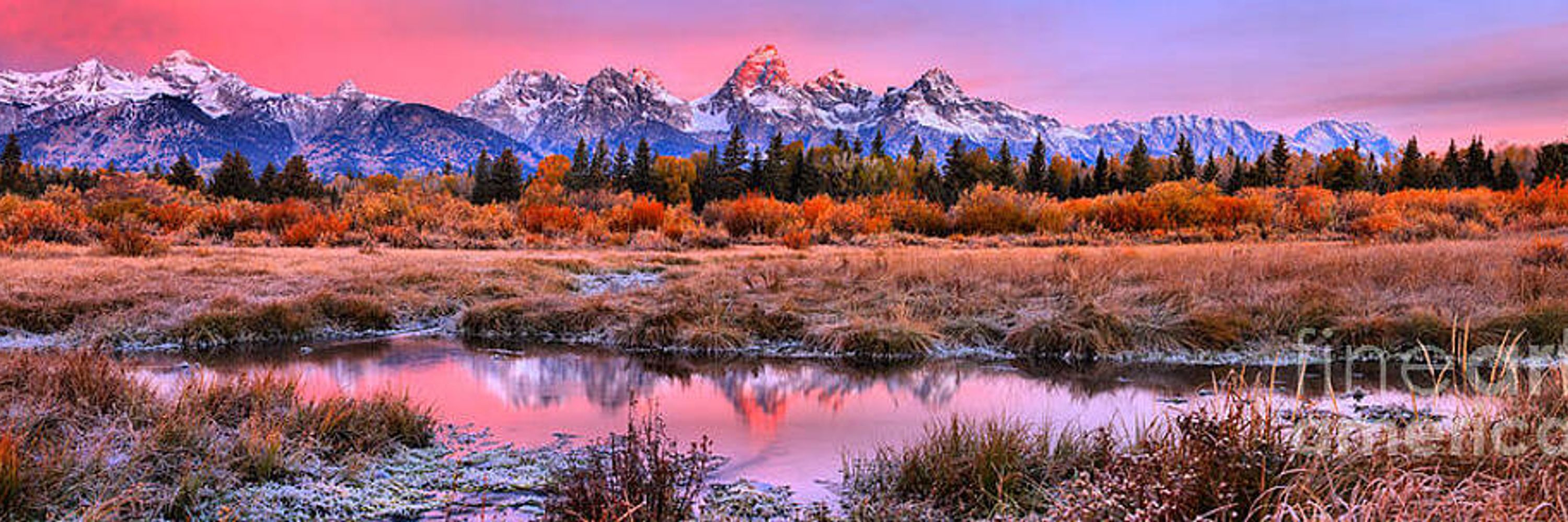 Adam Jewell Photography