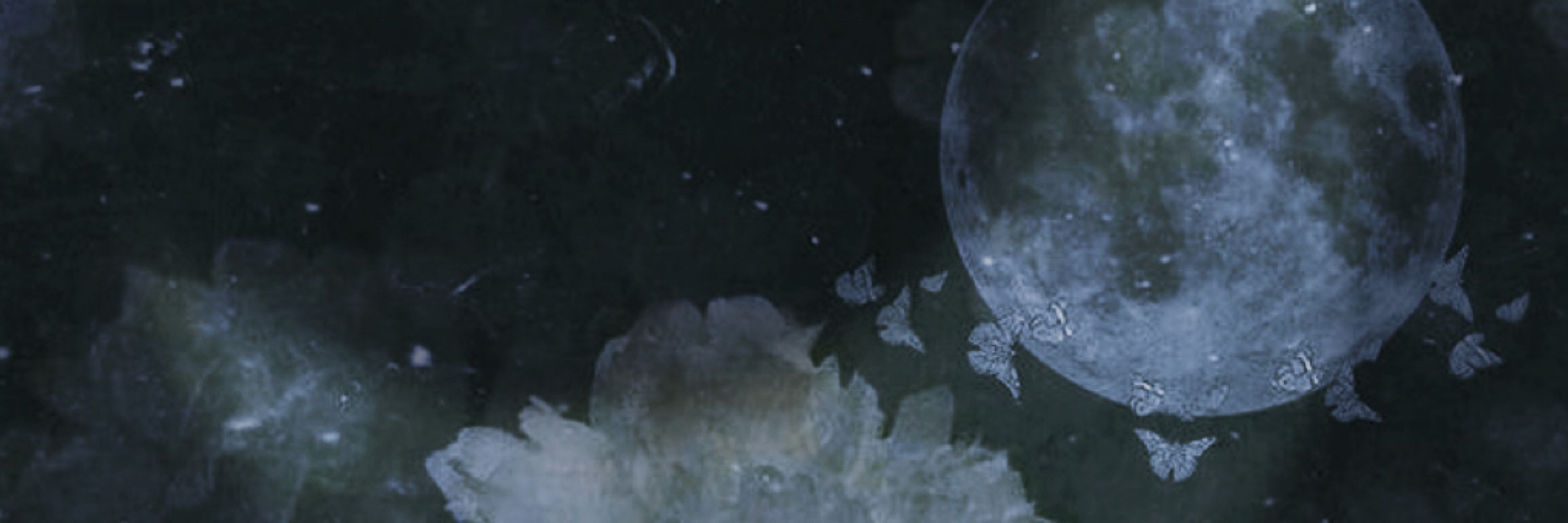 𝑜’𝑔𝑜𝒹𝒹𝑒𝓈𝓈 𝑜𝒻 𝓂𝑜𝑜𝓃