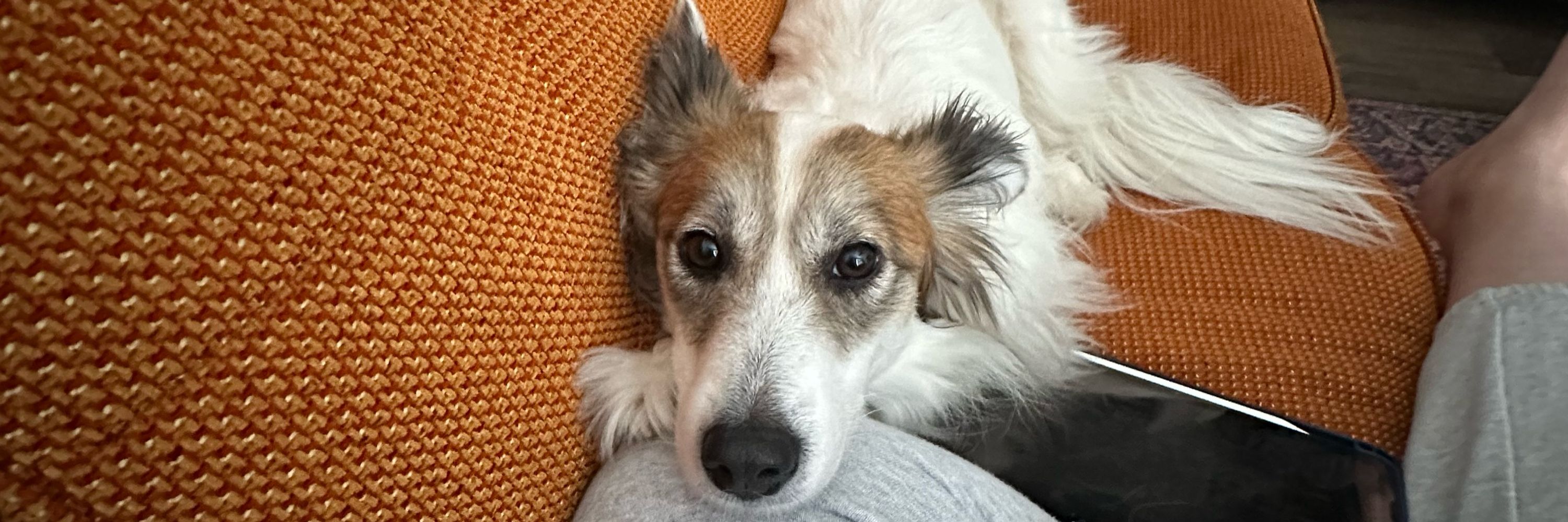 syd