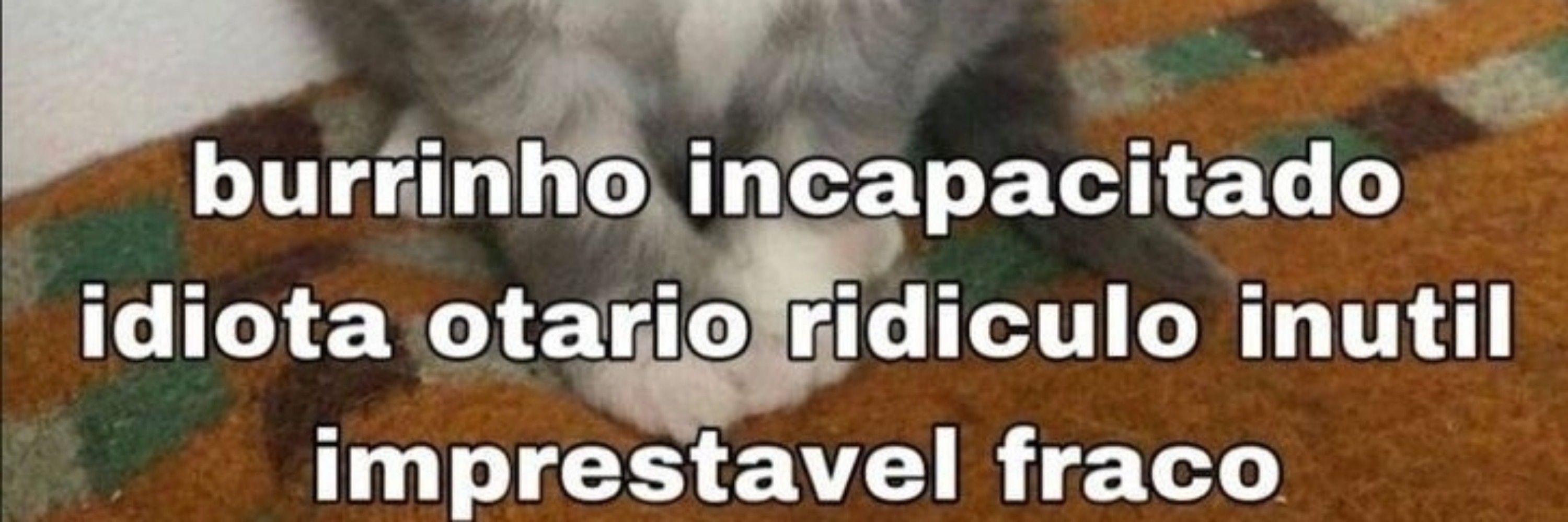 Psicóloga não praticante