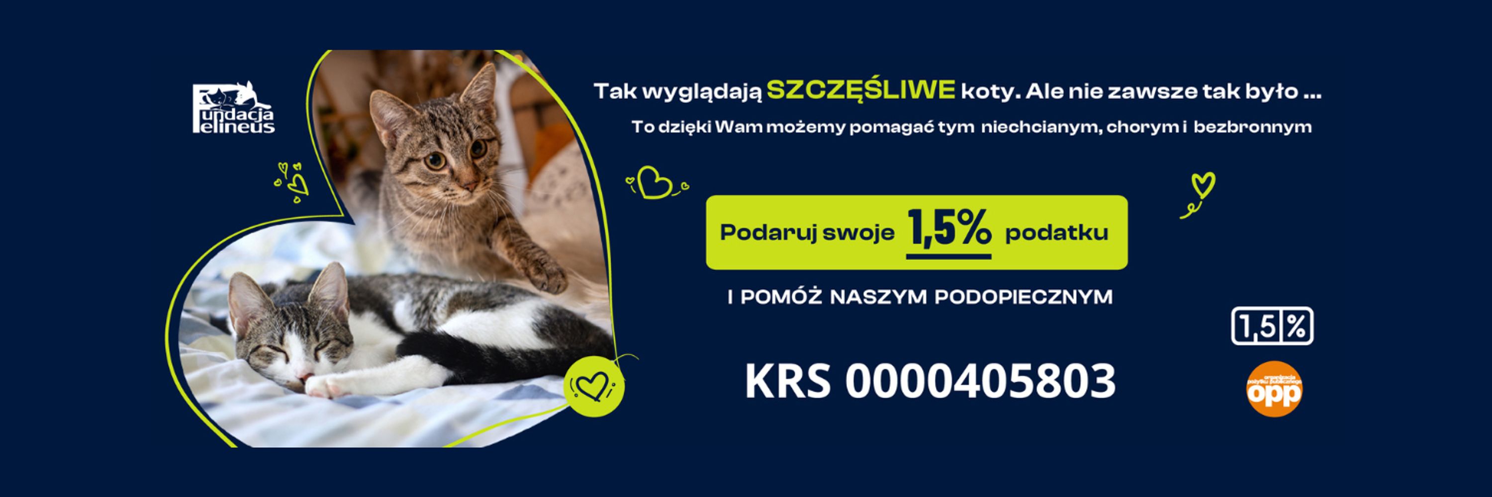 Fundacja Felineus
