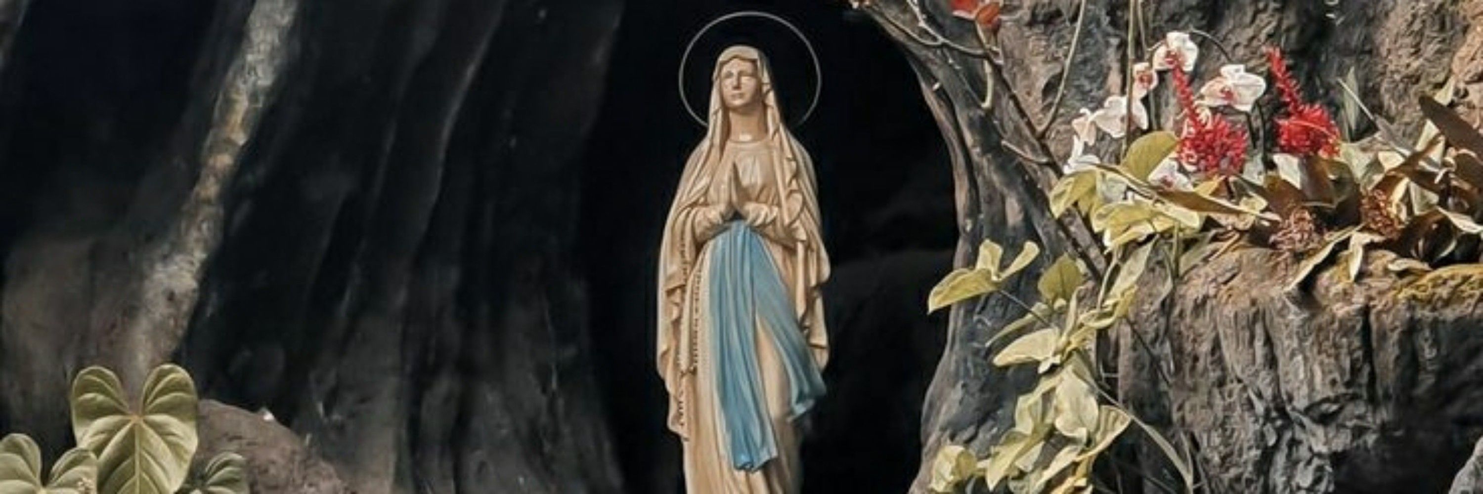 Daniel🇻🇦