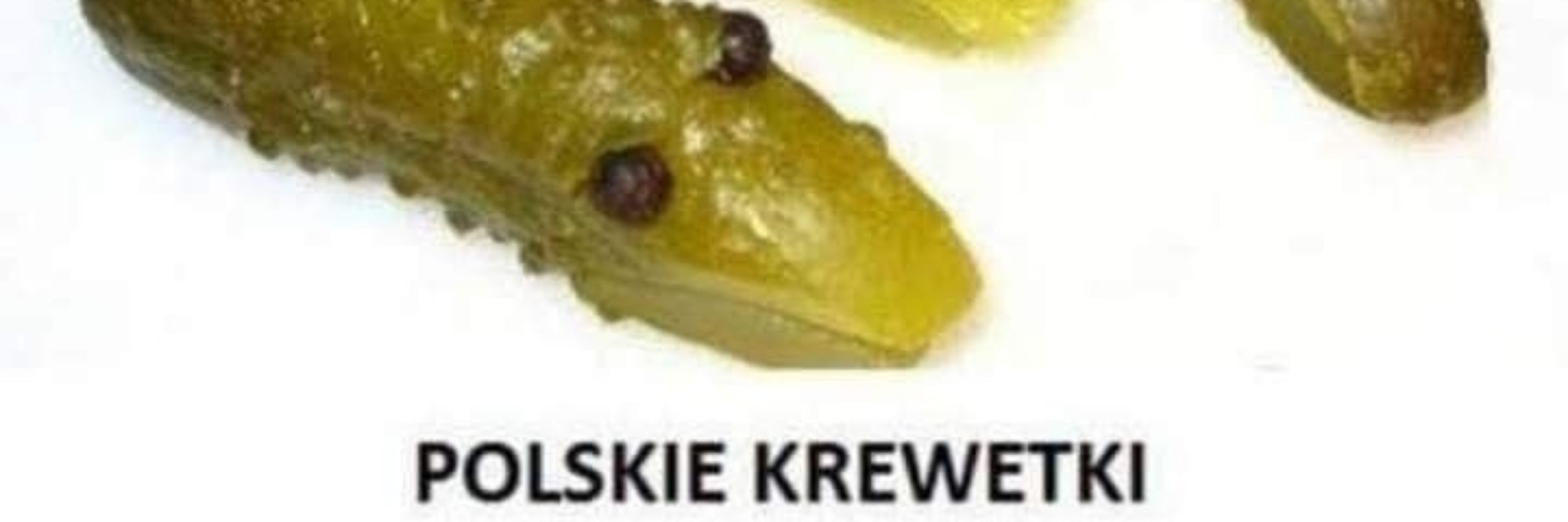 lizardwo