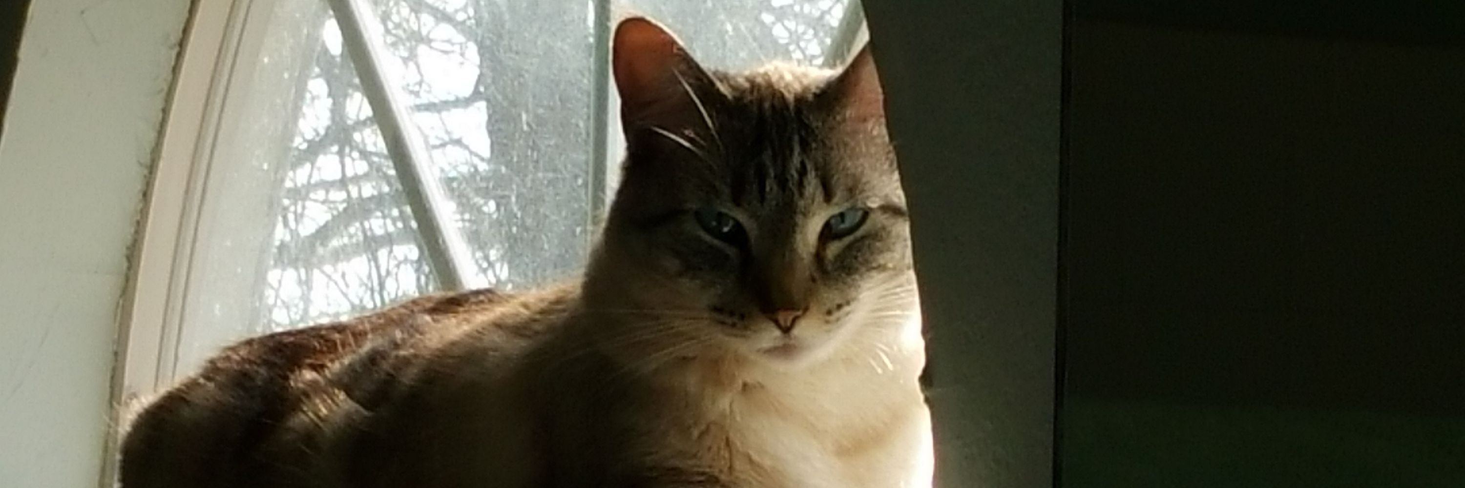 Laura