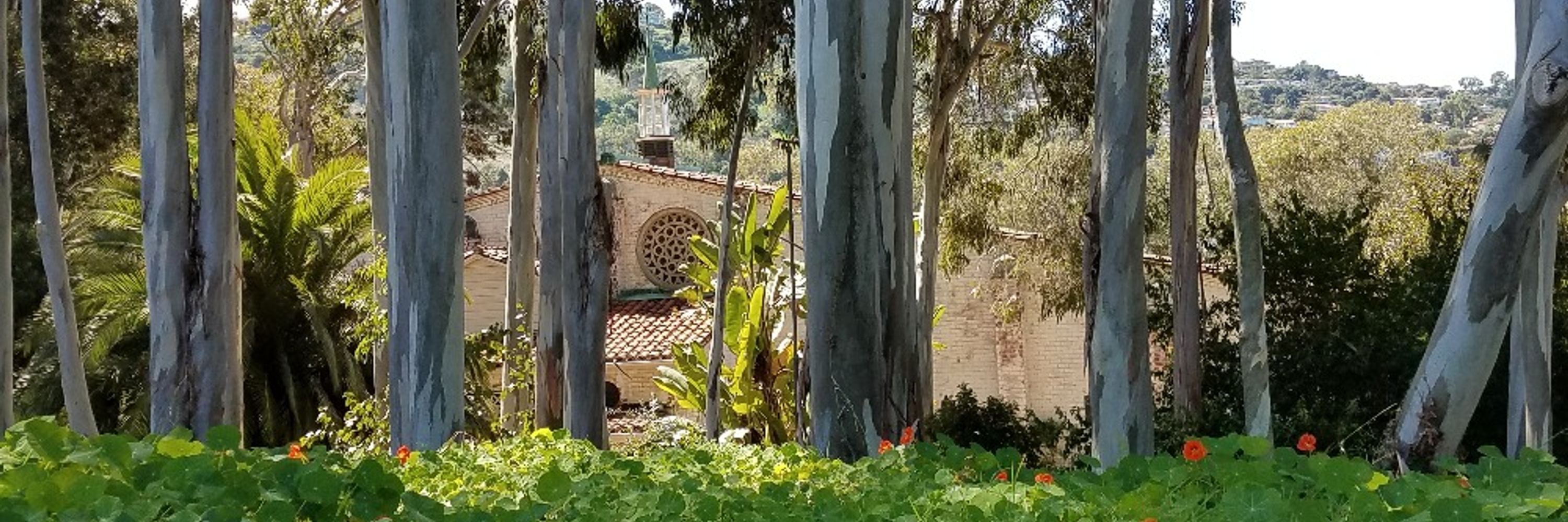 St. Francis Episcopal Church