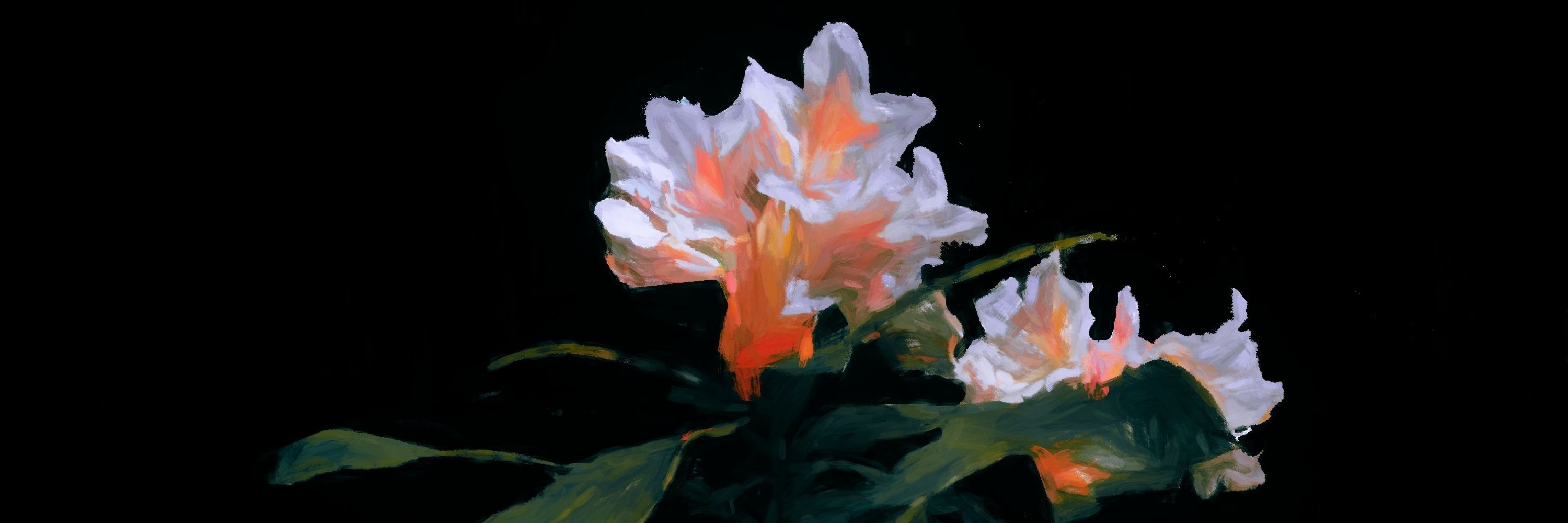 Lilium 🌼