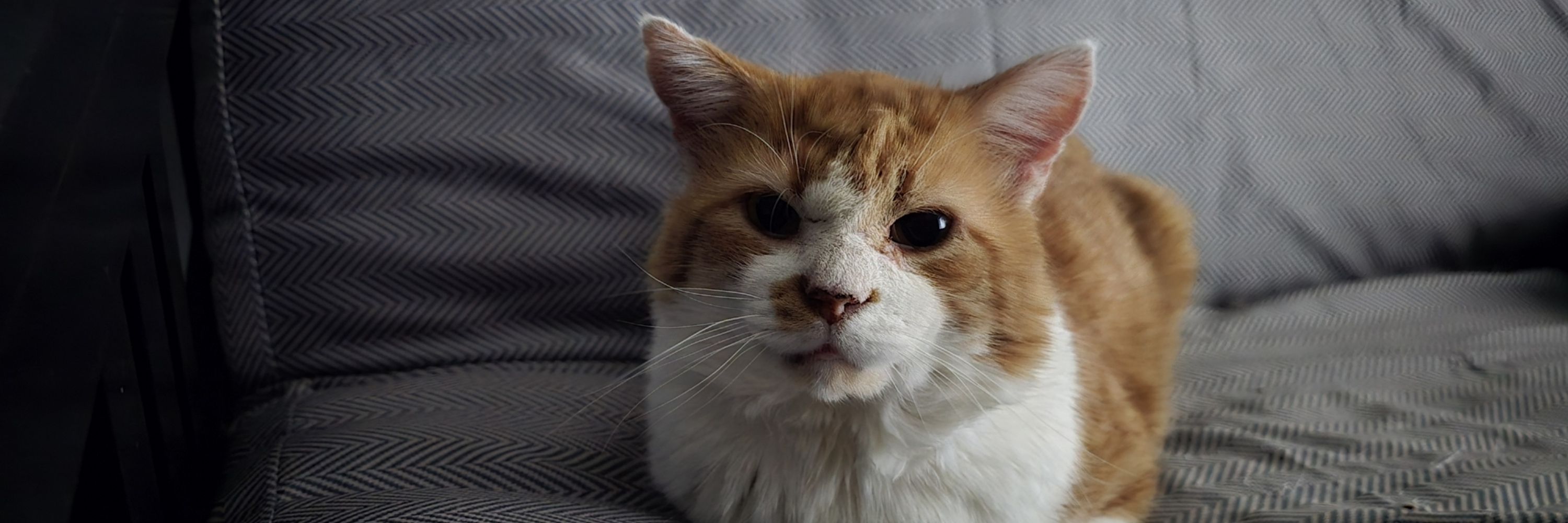 HuffingFluff