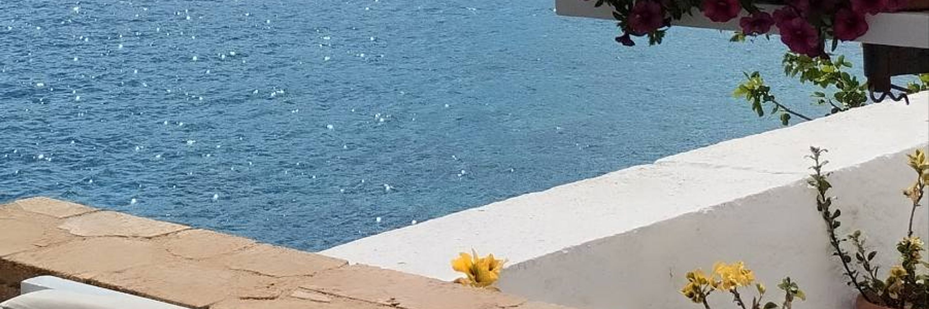 georgekalamaras