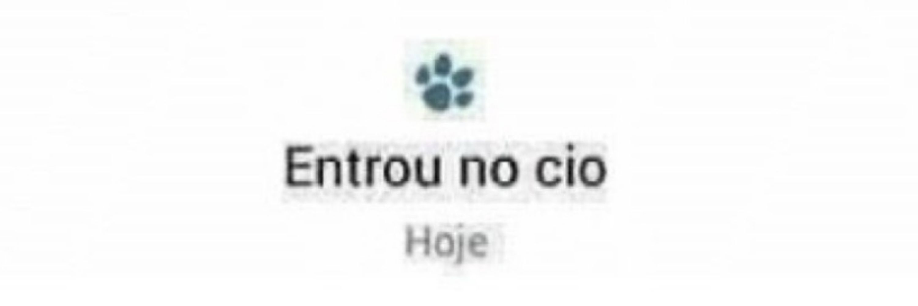 despedida de solteiro 