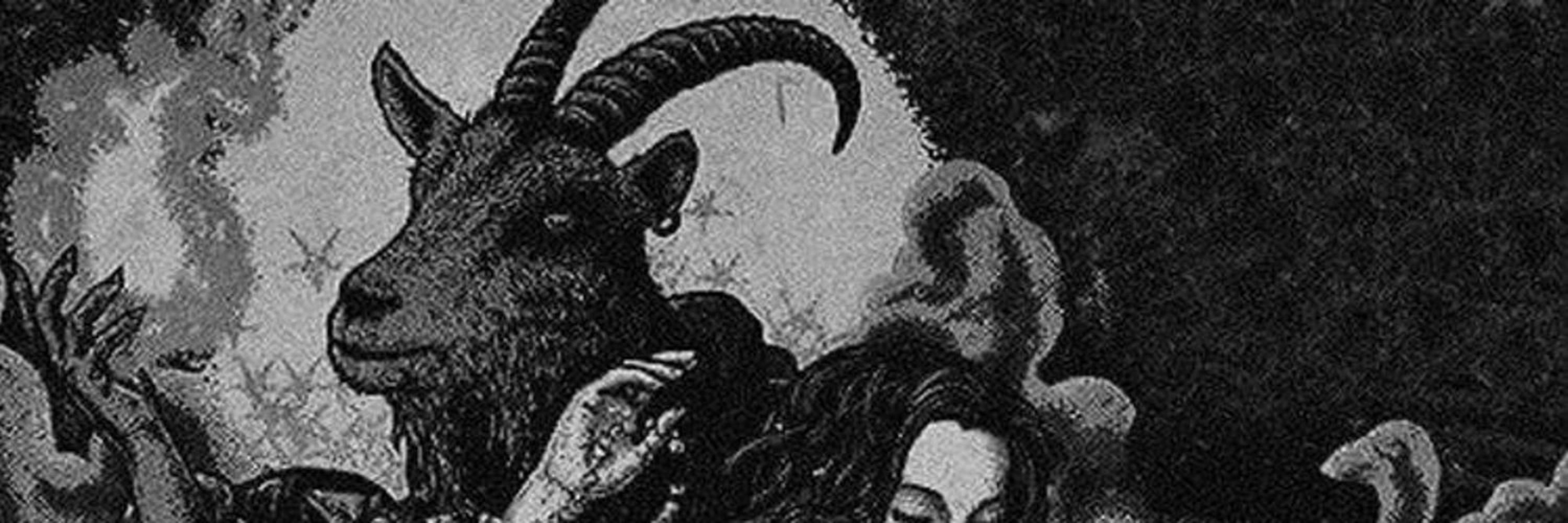 lamb