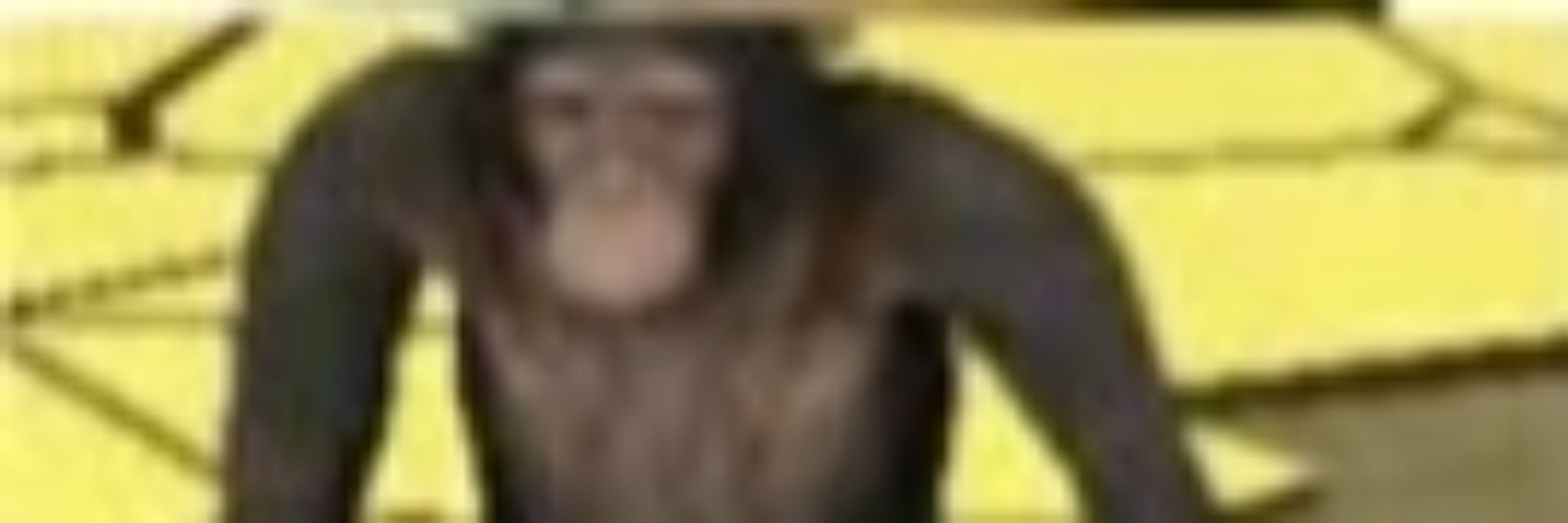 𝙼𝚎𝚘𝚠𝚂𝚔𝚞𝚕𝚕 ☠️🤟