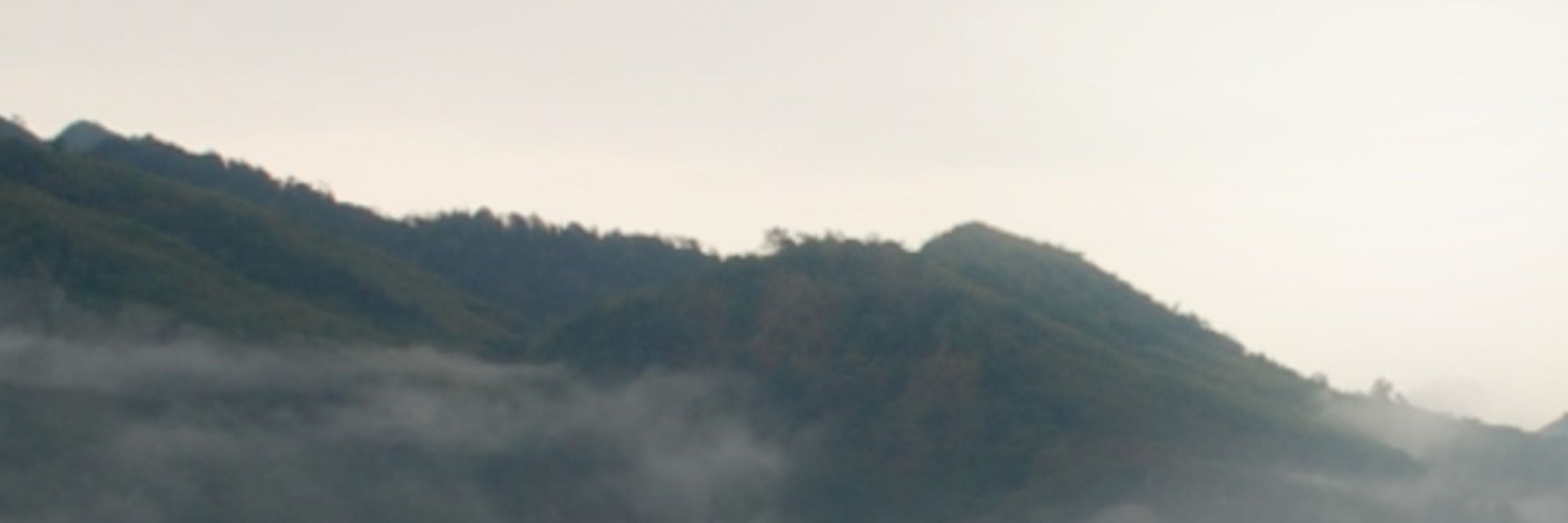 მომი