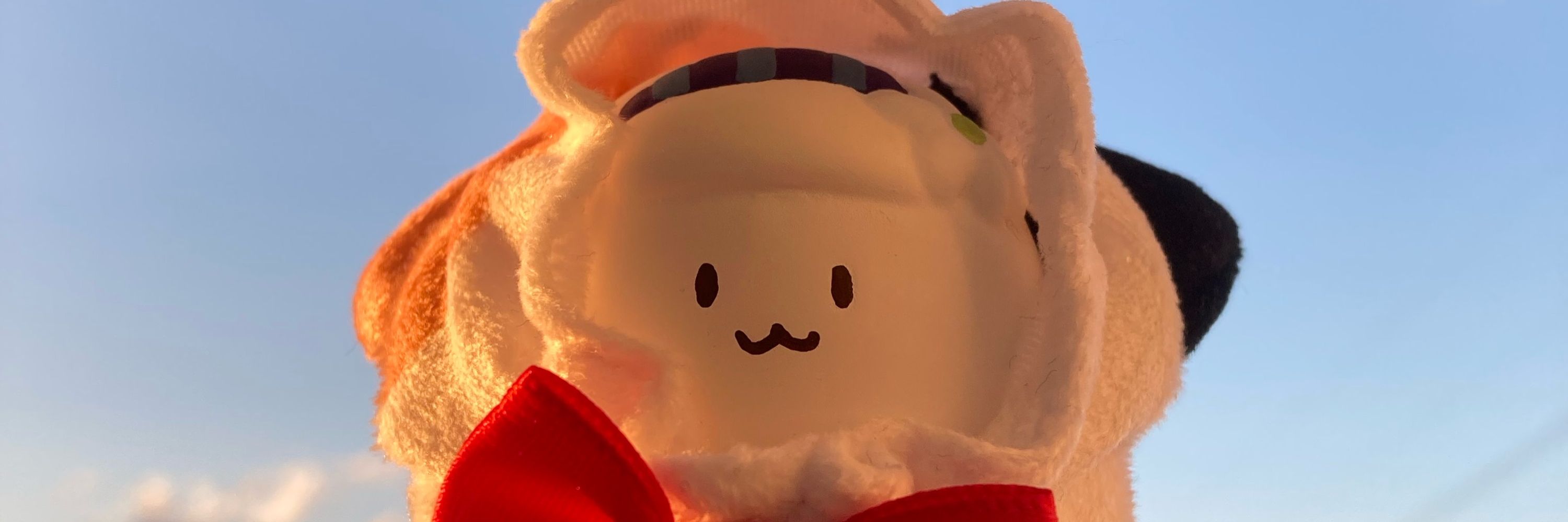 きょうのごはん🍚✨