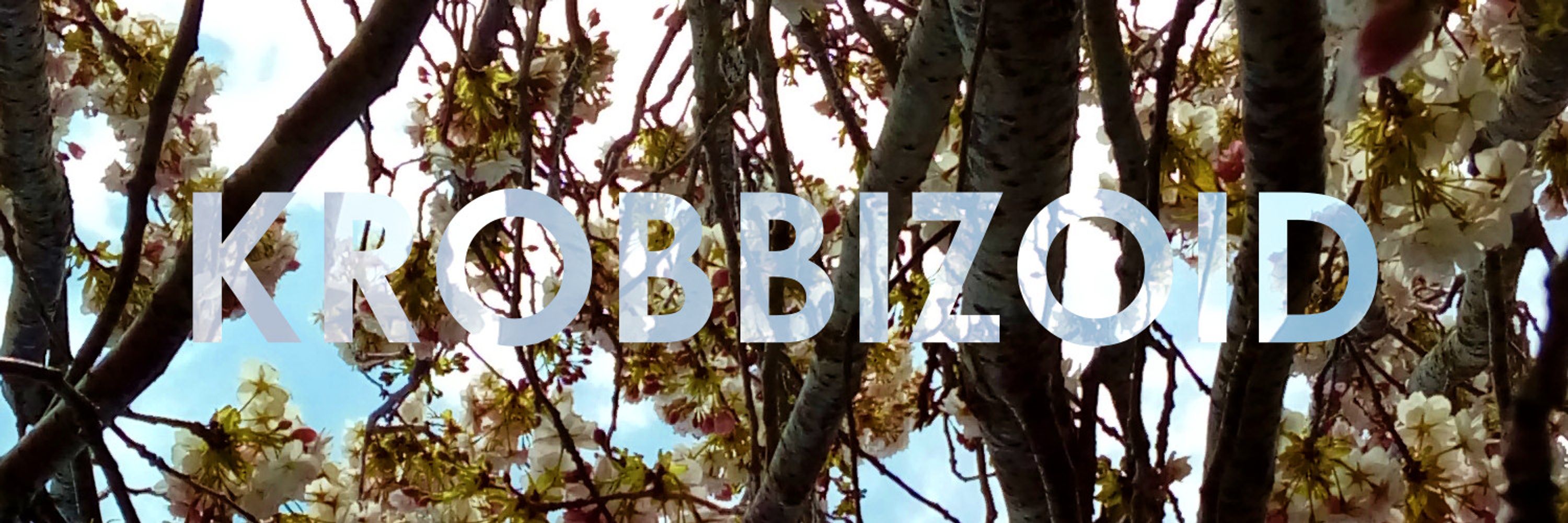 Krobbizoid