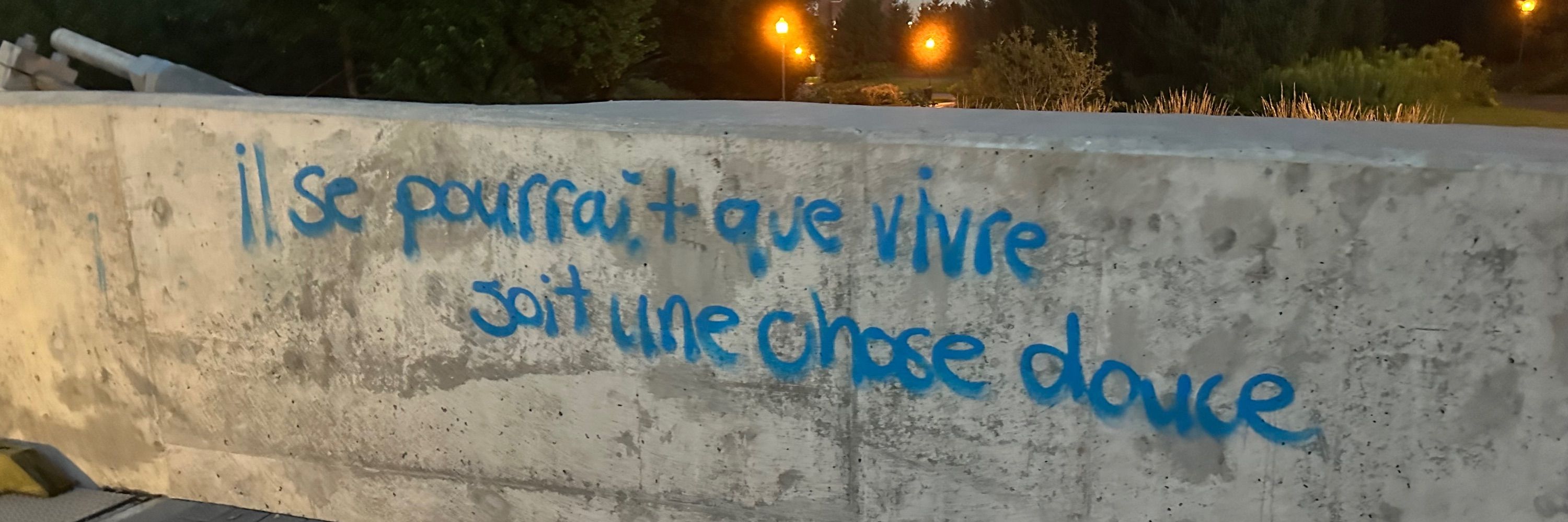 Céleste 🍋