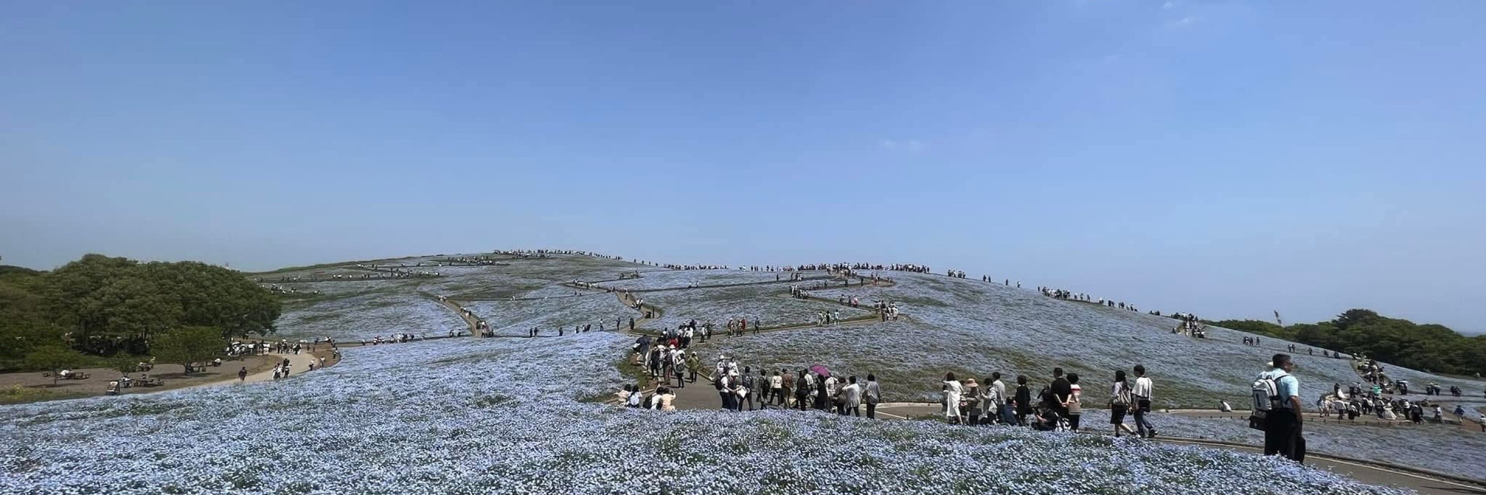 栃木のオタクな旅人