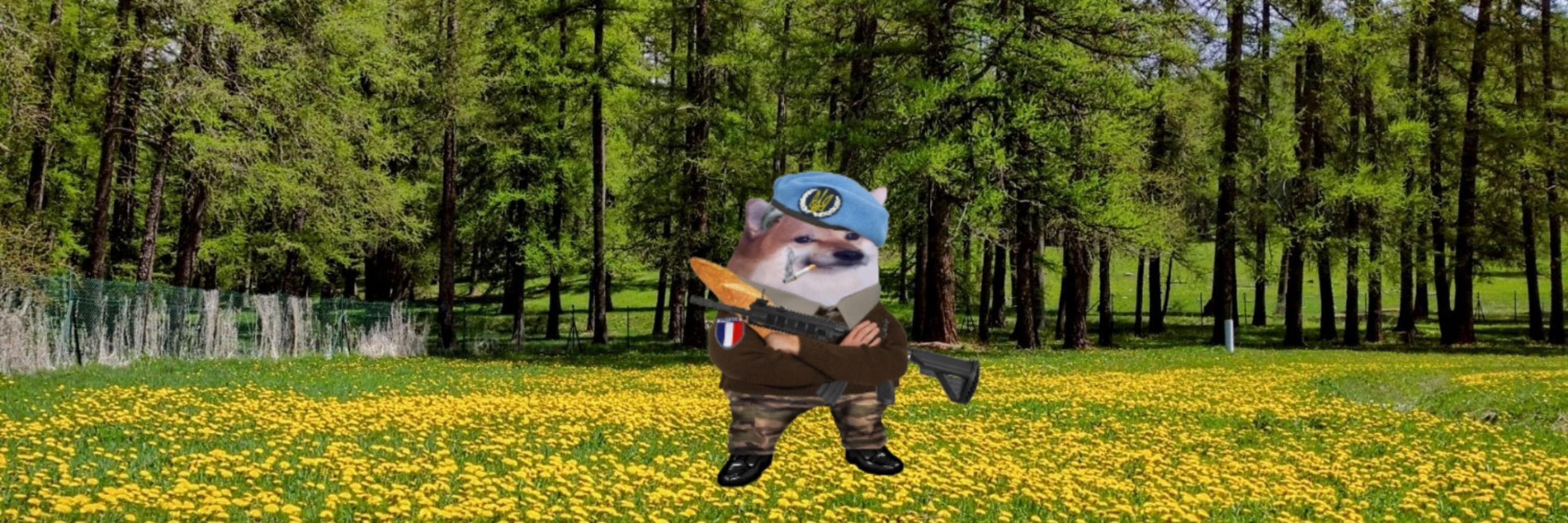 DePassage2 (backup X - Don't POST🙏  ) 🇫🇷💙💛 ☮️