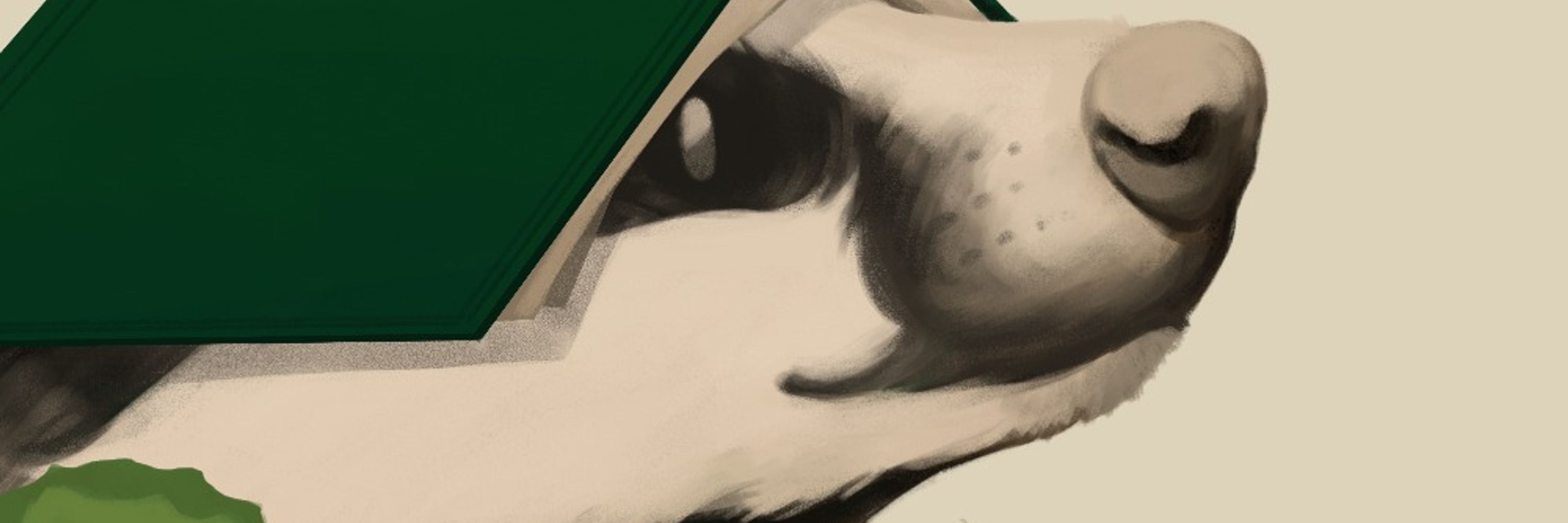The Book Badgers
