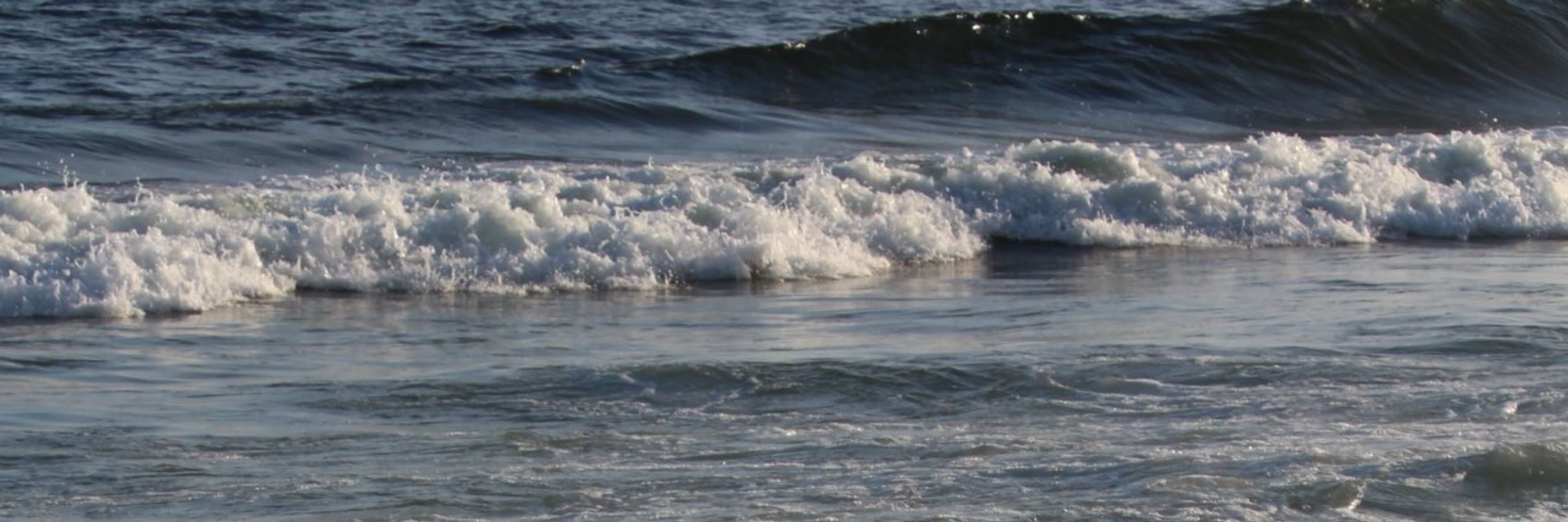 Kauan 