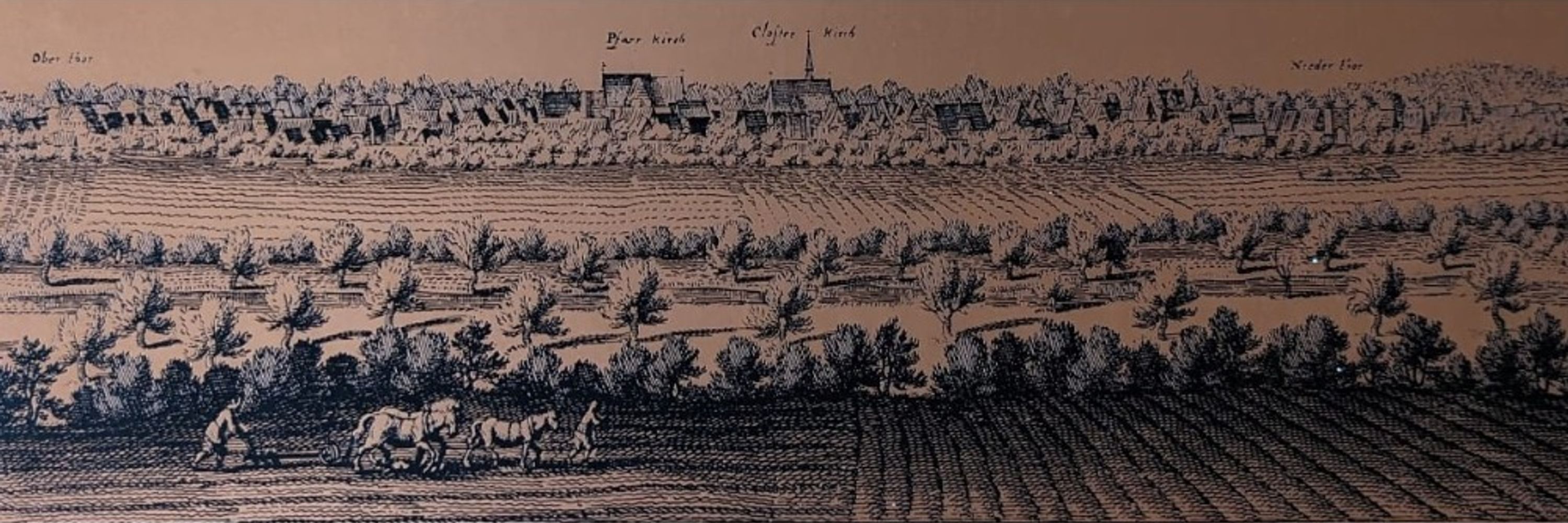 Calenberger