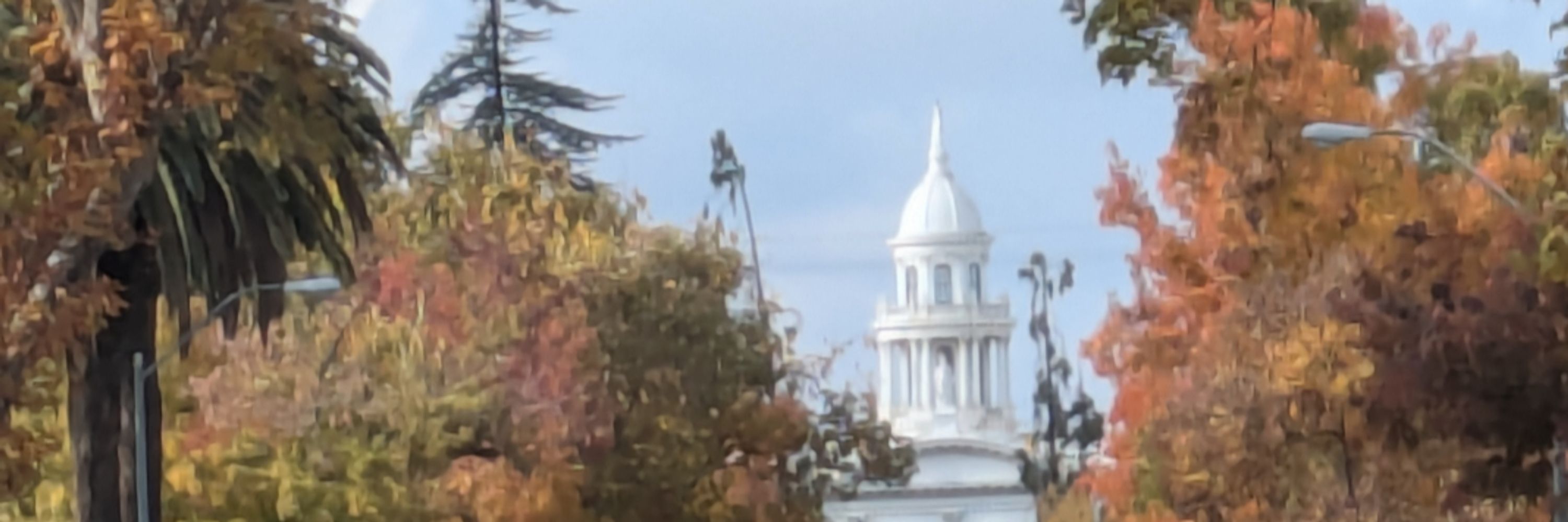 Democrats of Merced County