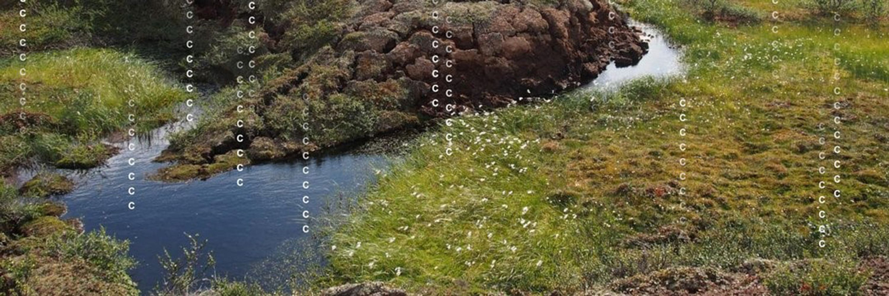 Centre for Biogeochemistry in the Anthropocene