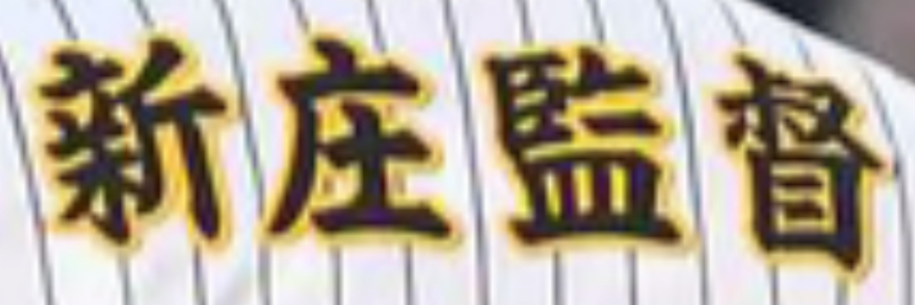 新庄あみ🦜