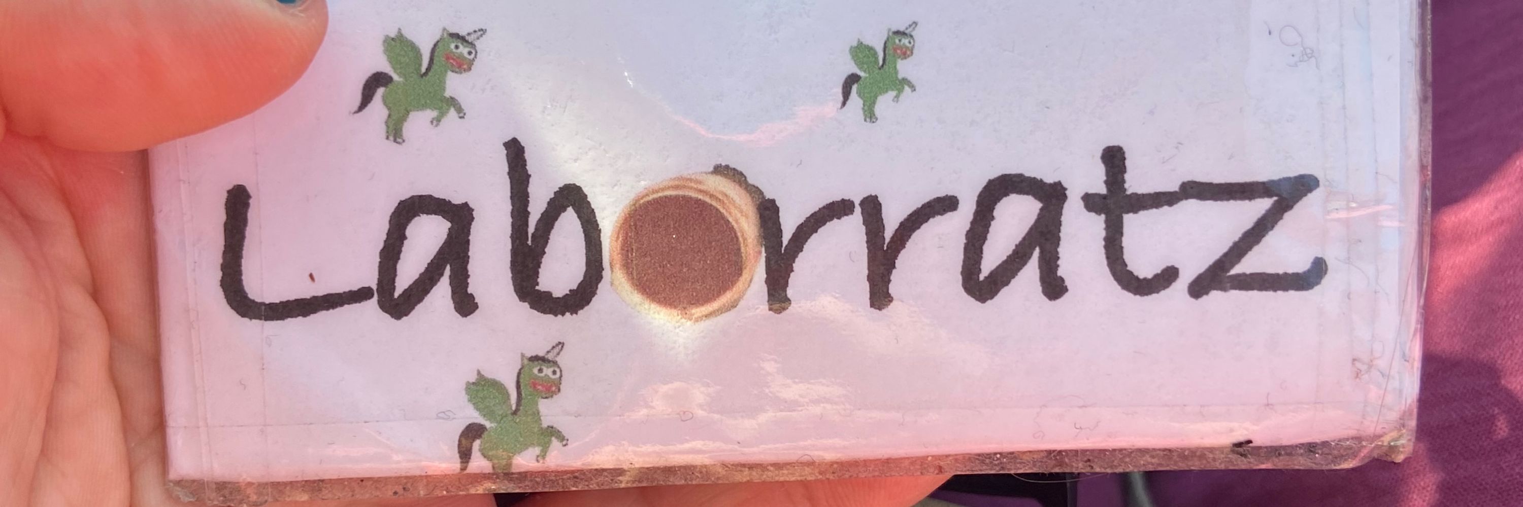 LAboHS