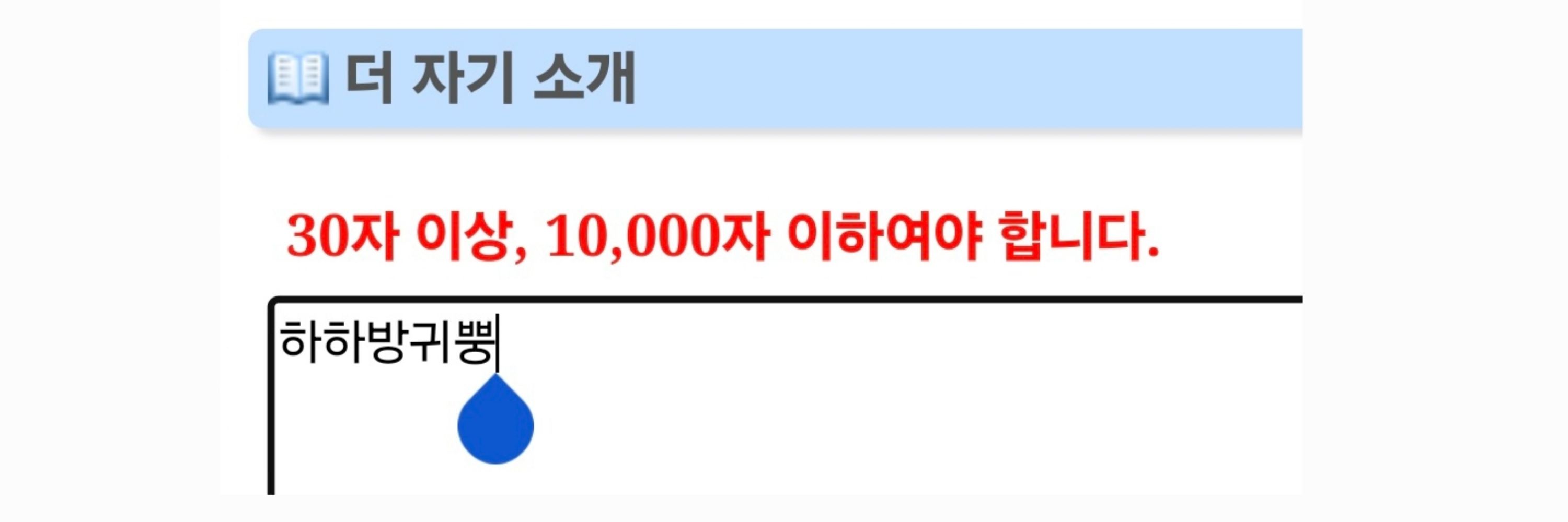 벼르쉐486터보
