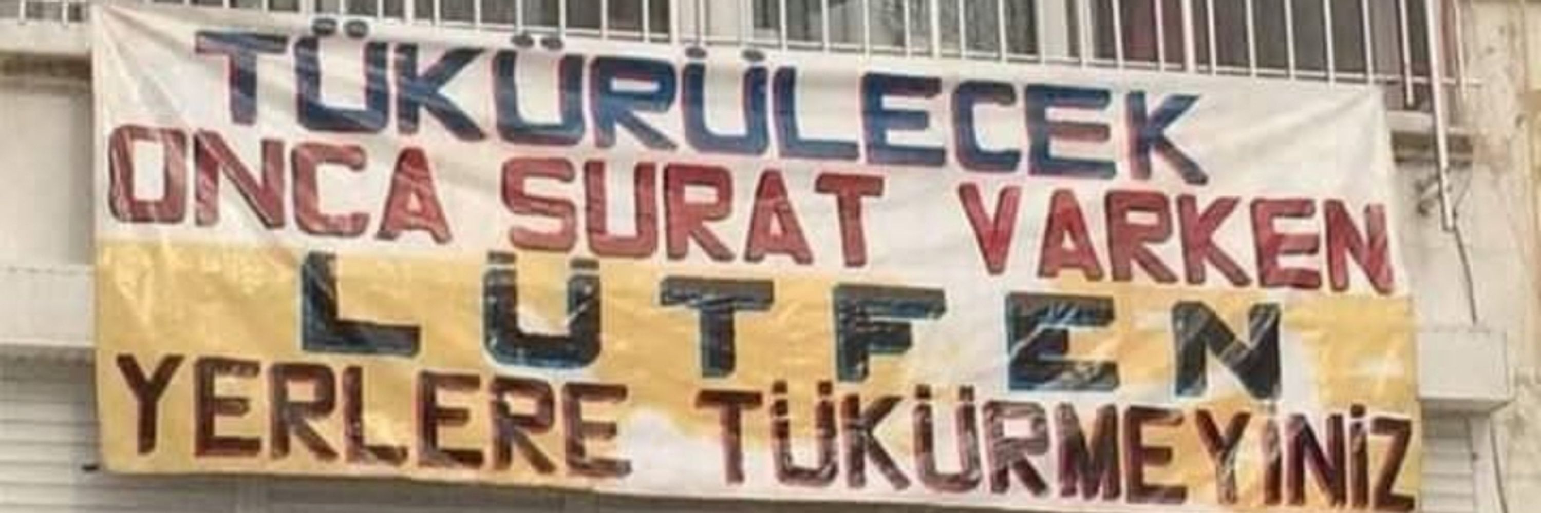 tülin tülinay🦉