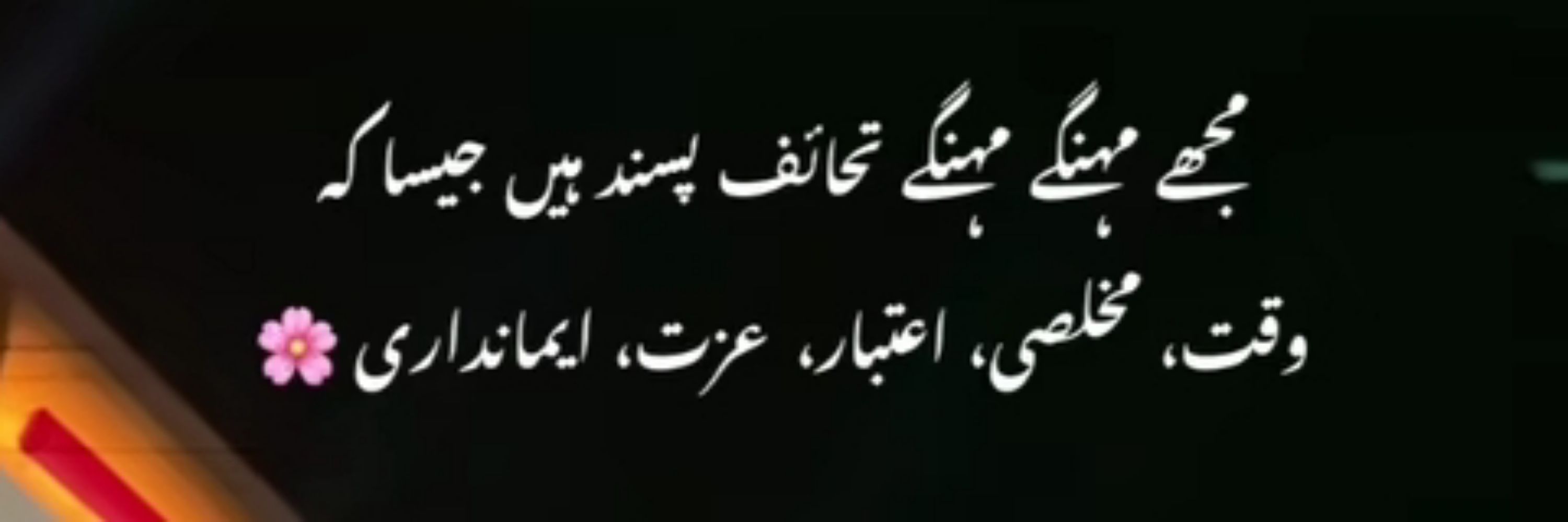 KhAn's wArRiOr 🦋