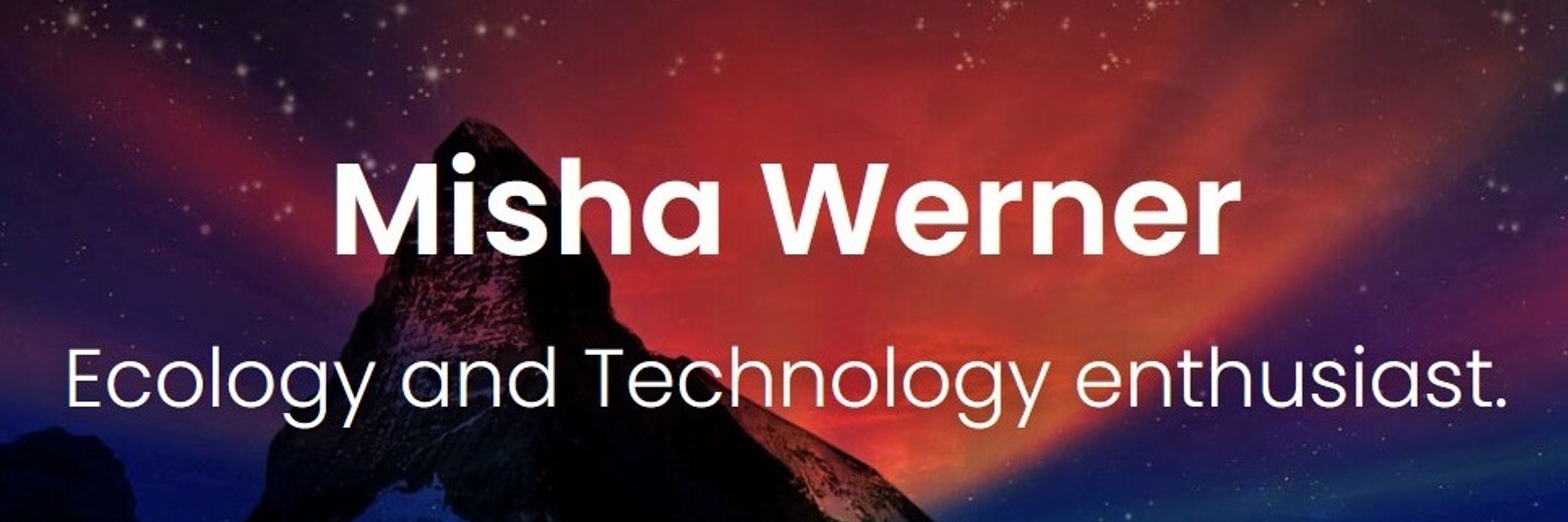 Misha Werner