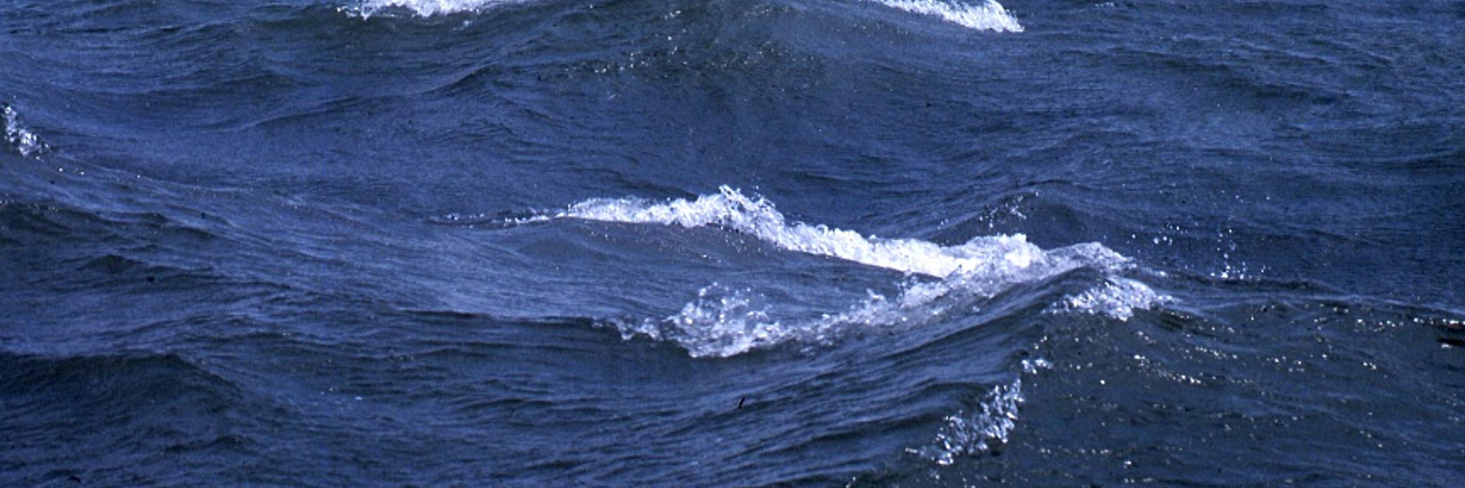 Polarmistblue