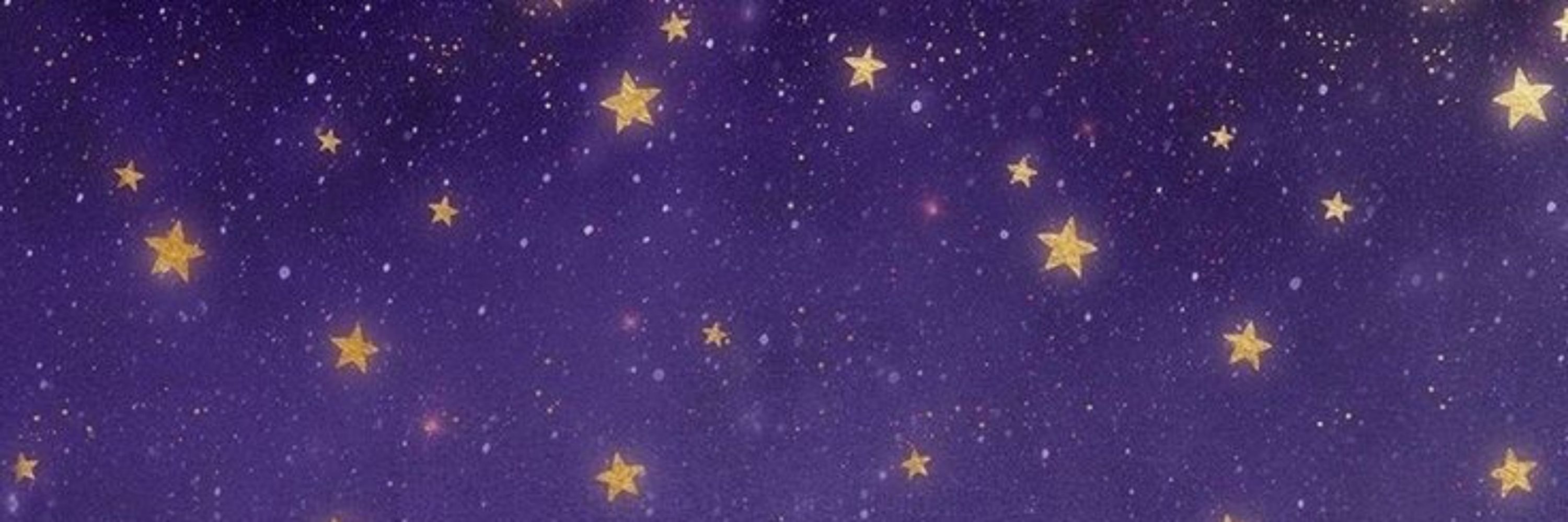 N. 直美 🌙