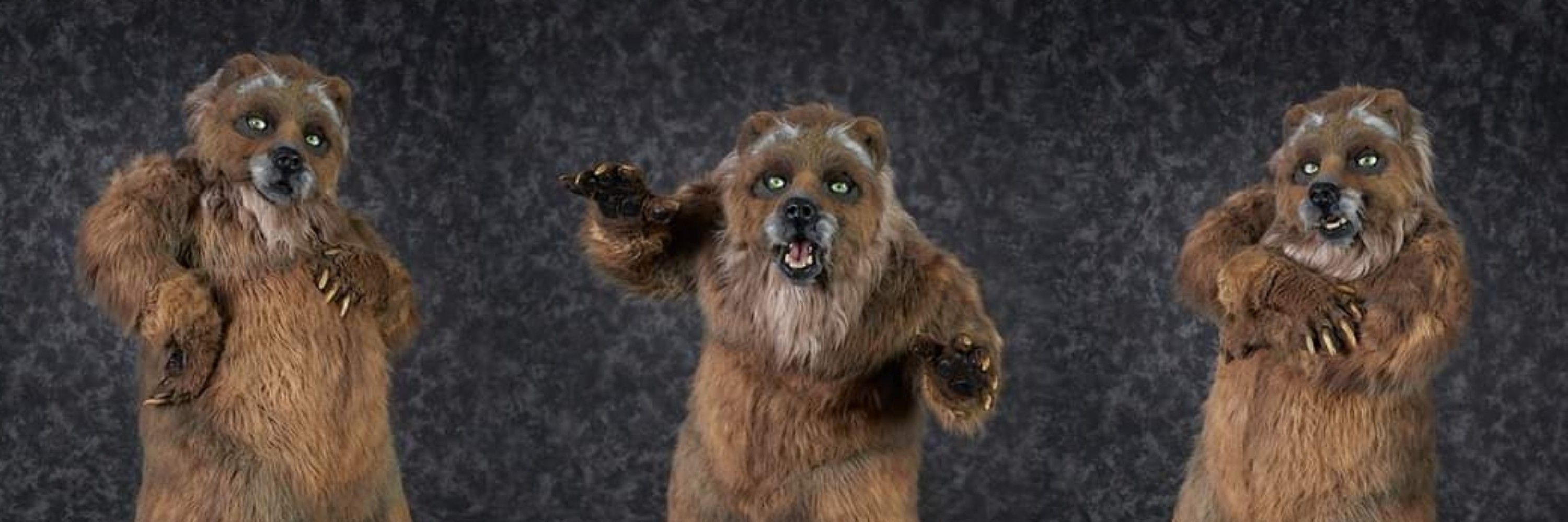 Grubbs Grizzly