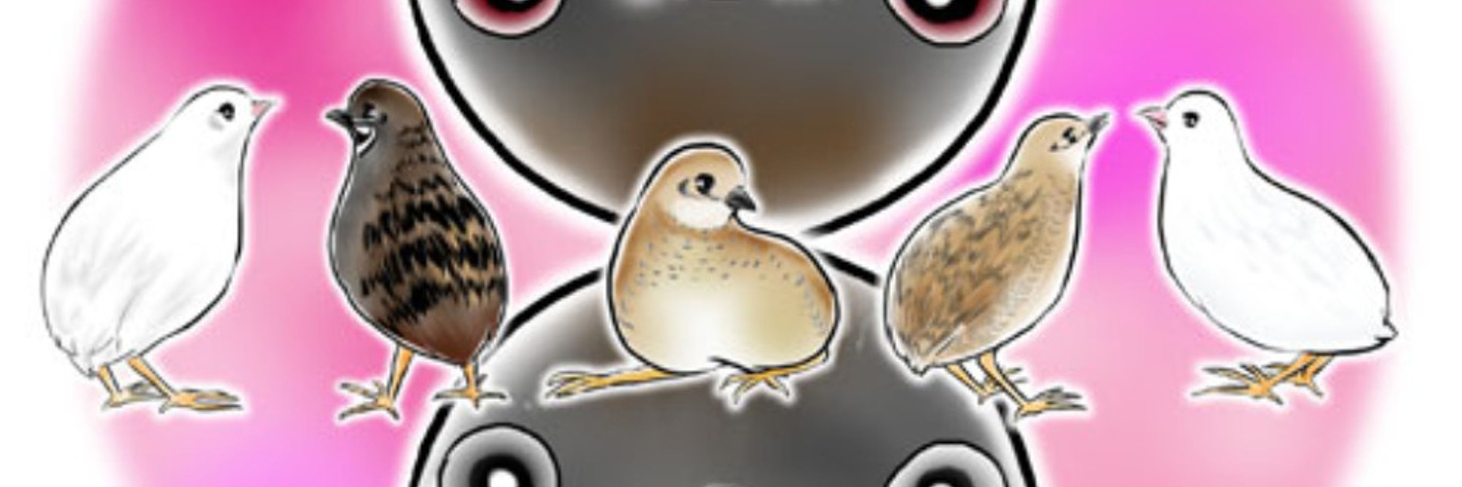 ひめうず.らぼ