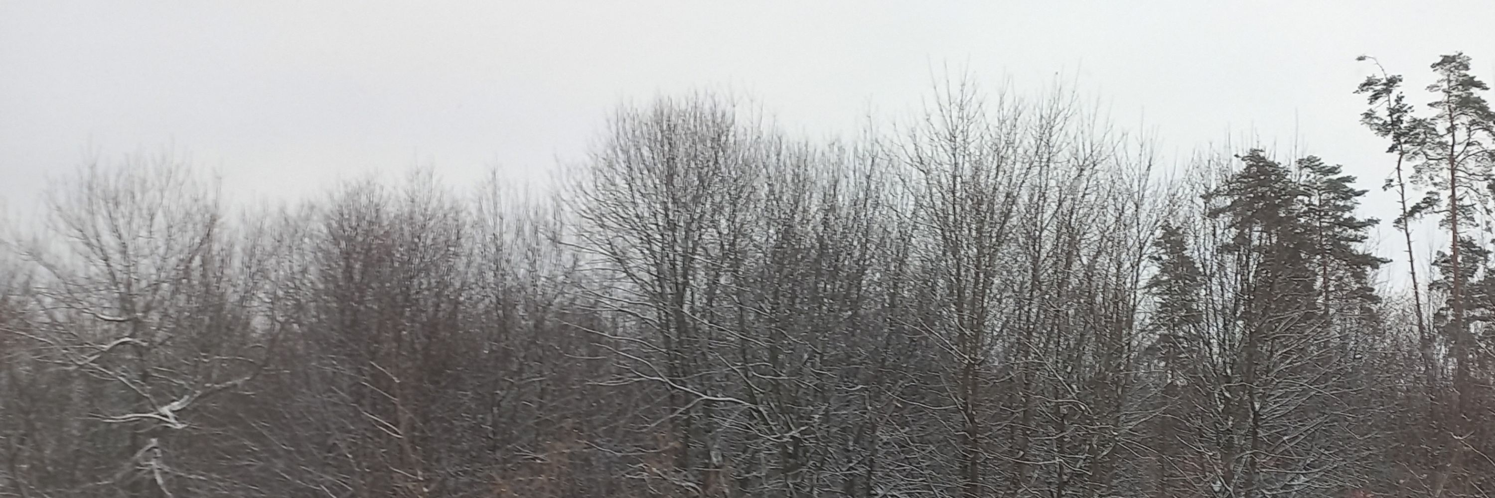 Батон