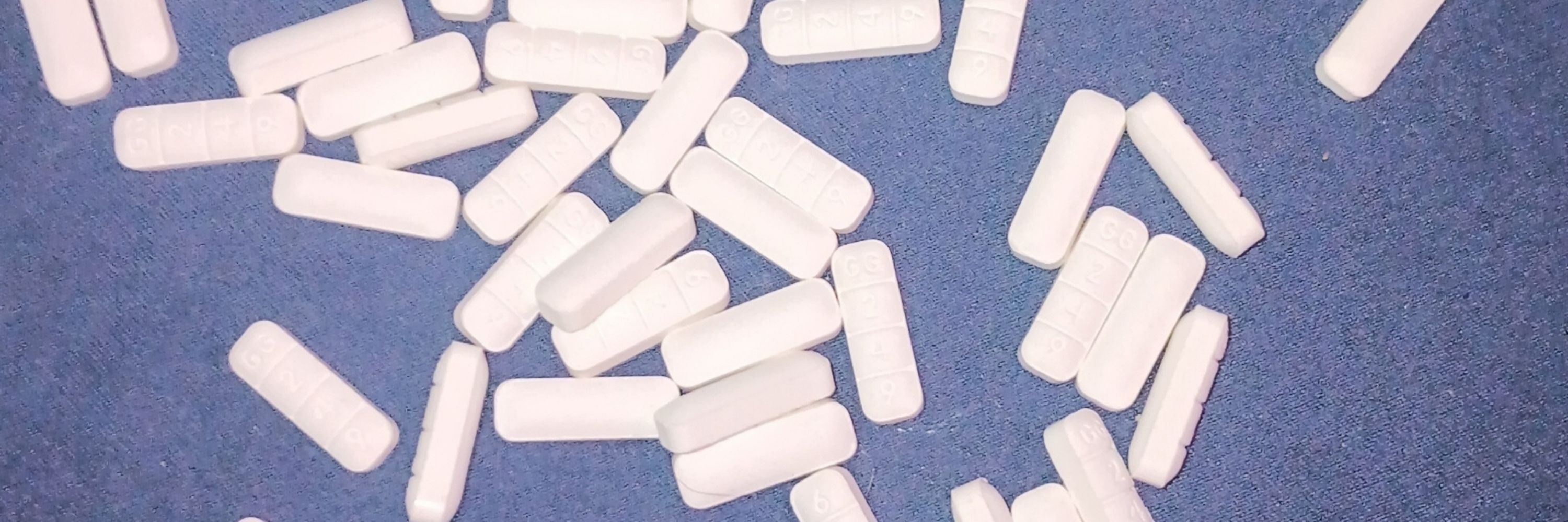 175lbs of alprazolam in a trench coat